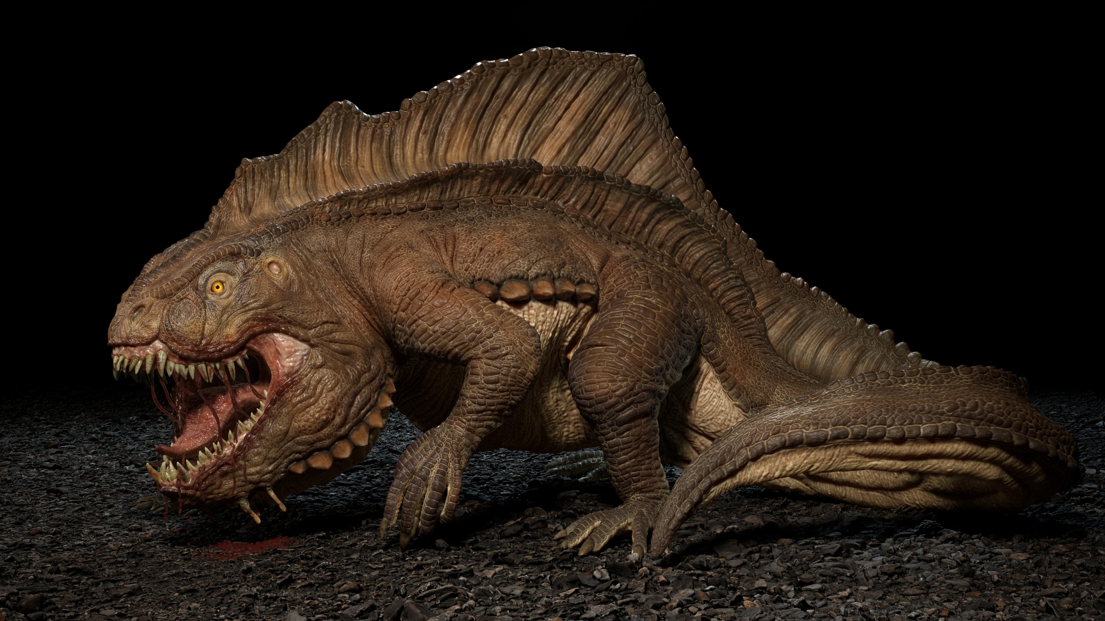 francisco-rojas-mat1