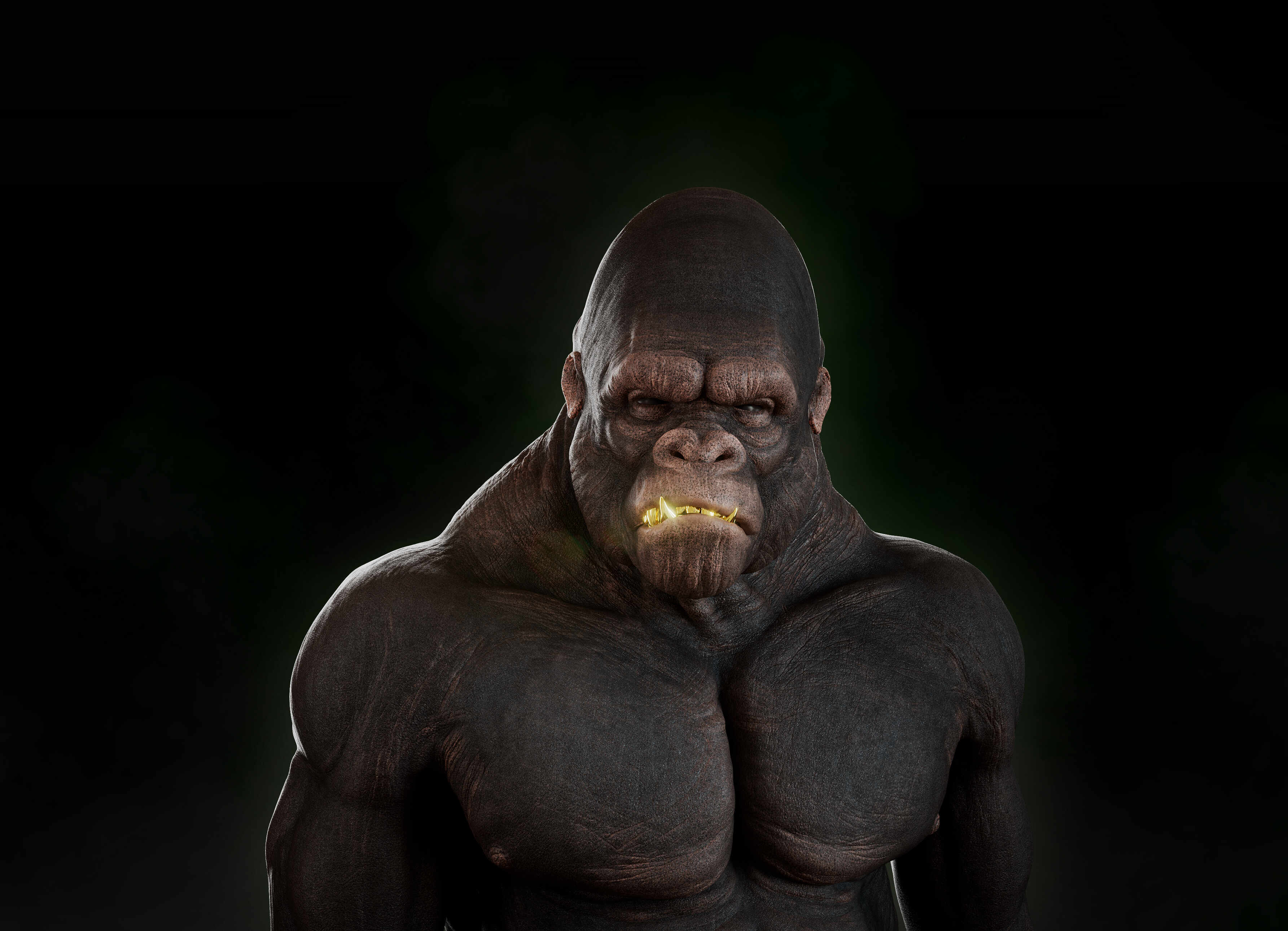 kong_02