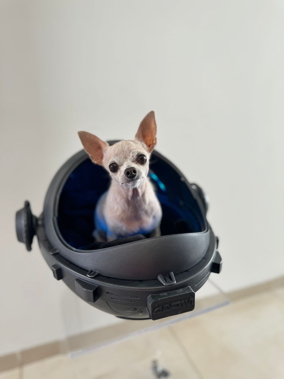 Imagen de WhatsApp 2024-05-09 a las 15.01.02_a6025f3a