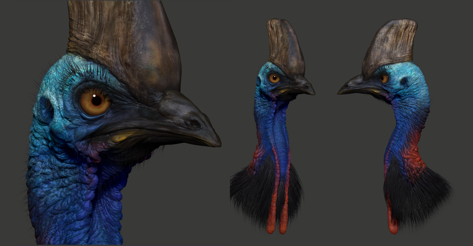 cassowary-final-bpr