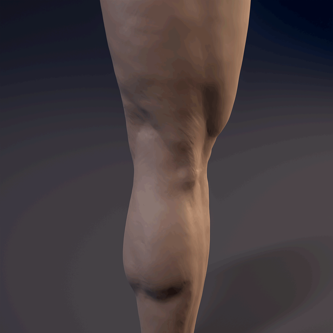 Leg_Straith_Cam_05_shot