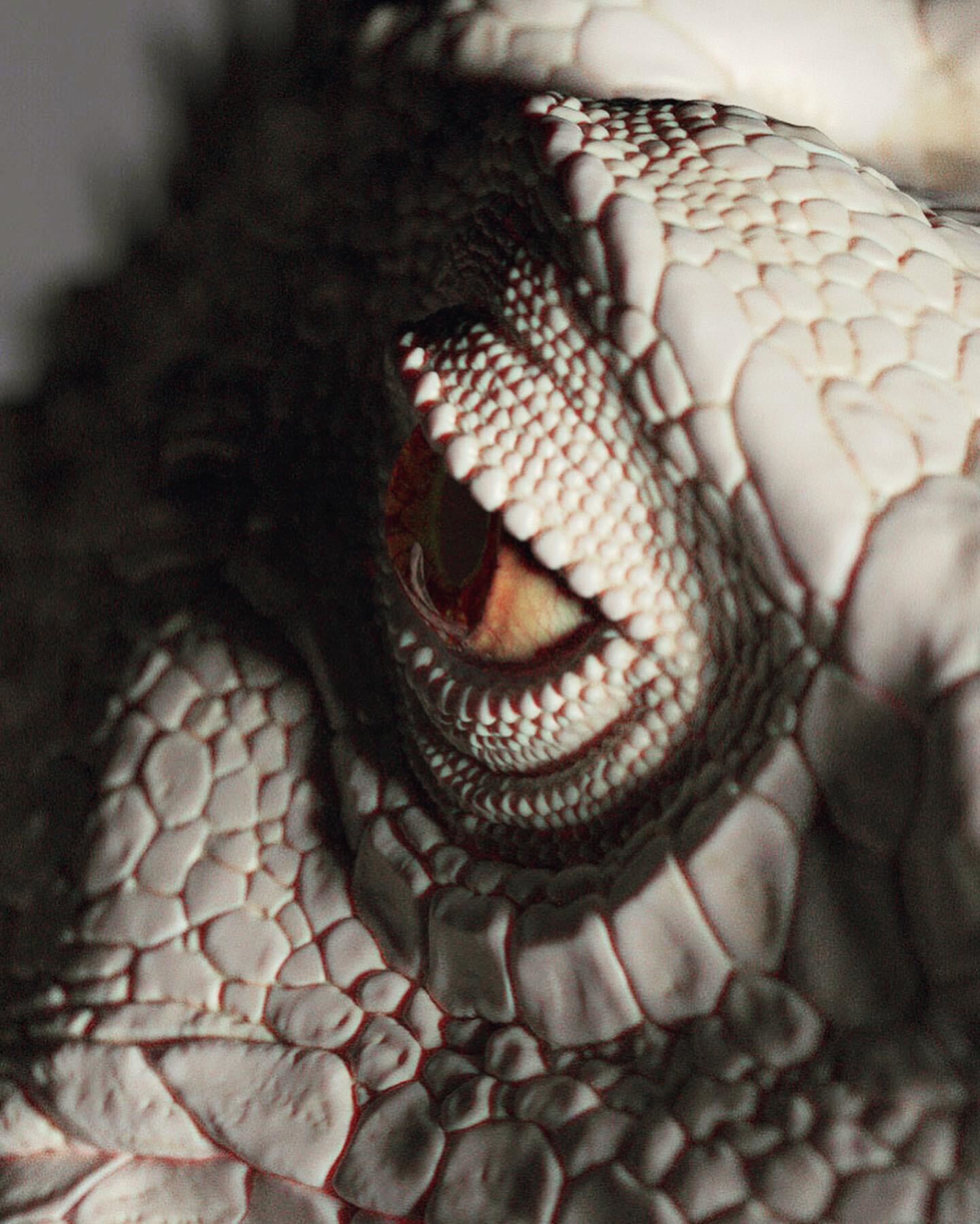 04FD7D93-33FB-48B2-B90F-AF6511FD25C9