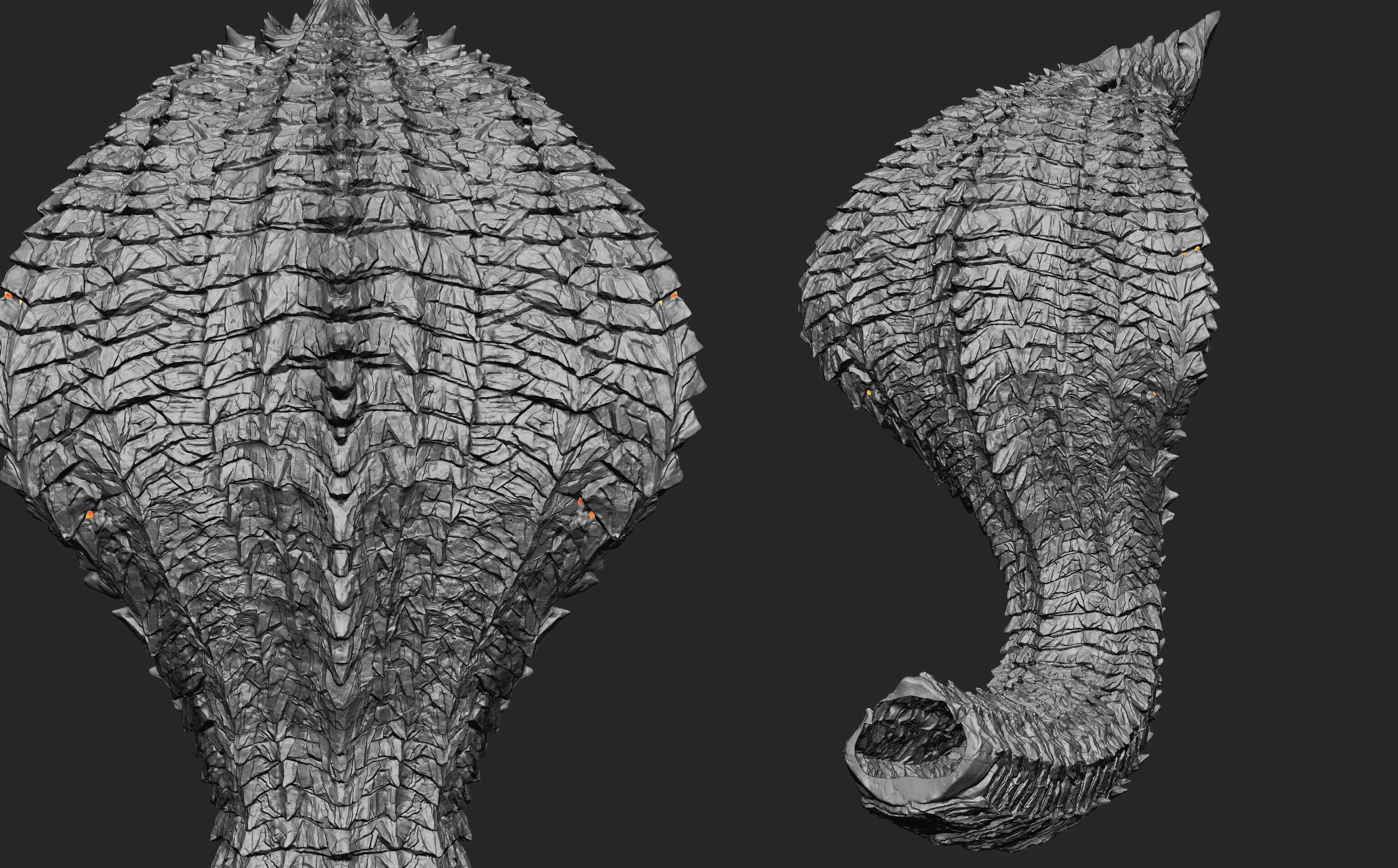 good detail nega z7-01