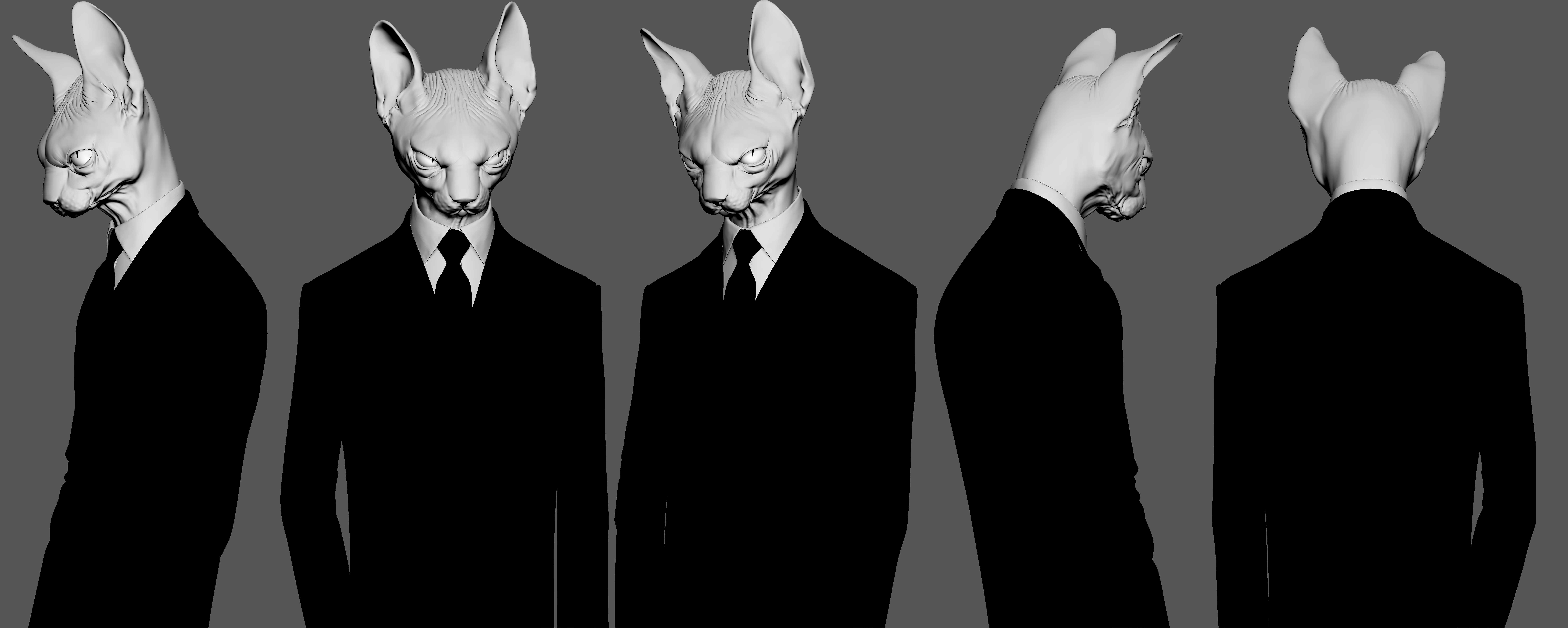 SphynxStare_ZBGrey