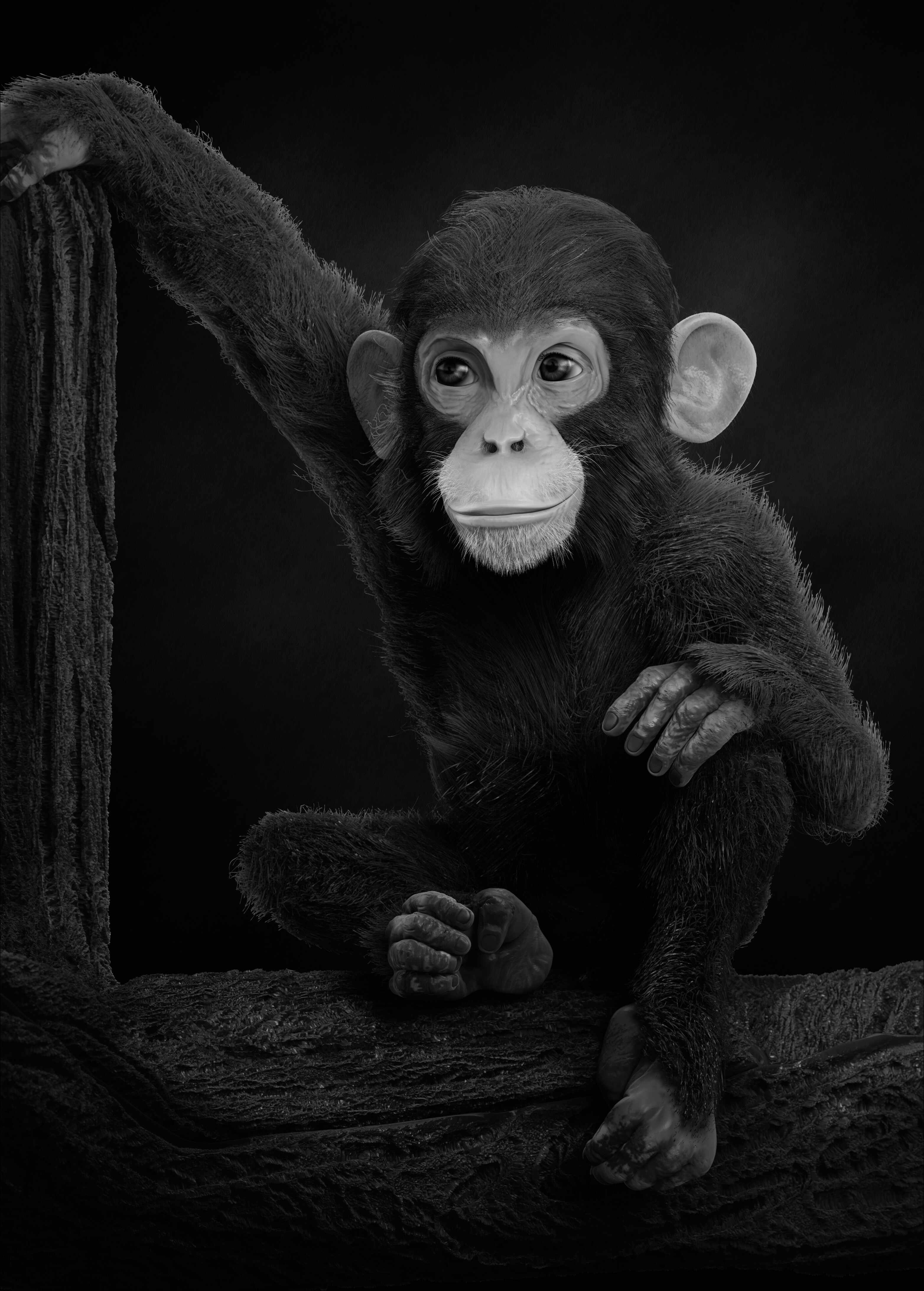 Chimp_001_2022 bw (1)