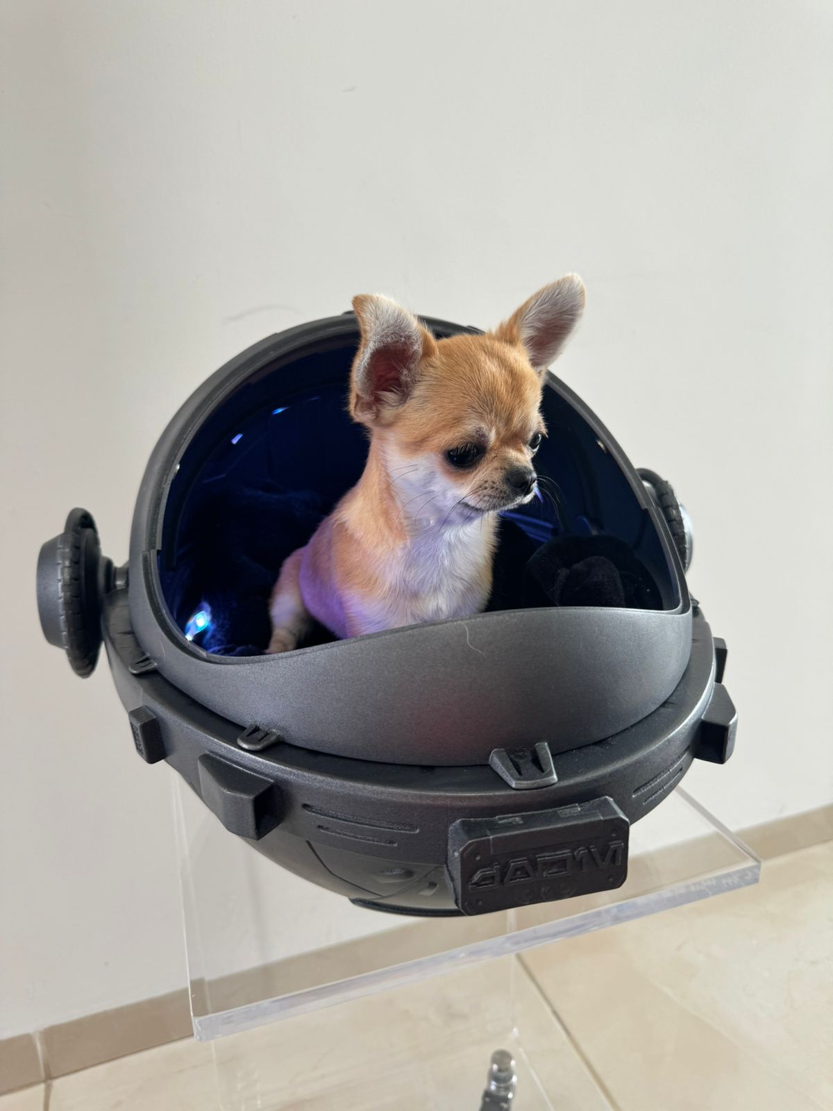 Imagen de WhatsApp 2024-05-09 a las 15.01.01_a81d5bbe