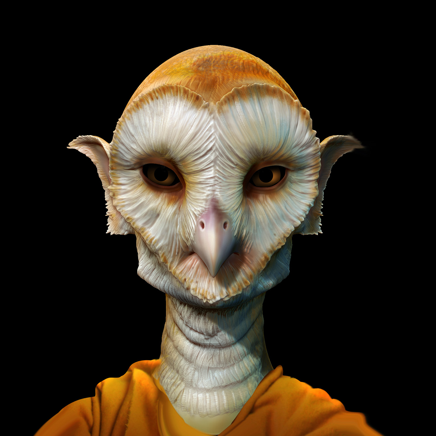 owl_girl_turn_01_4web