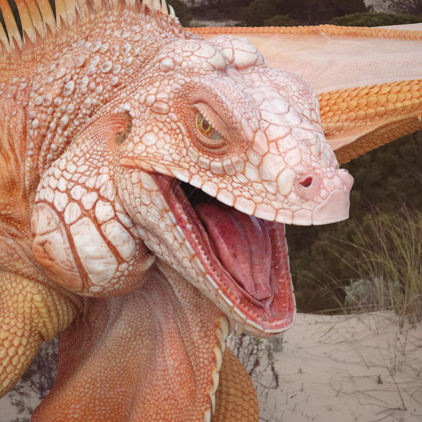 395672955_18391506430026379_7698429604369902064_n