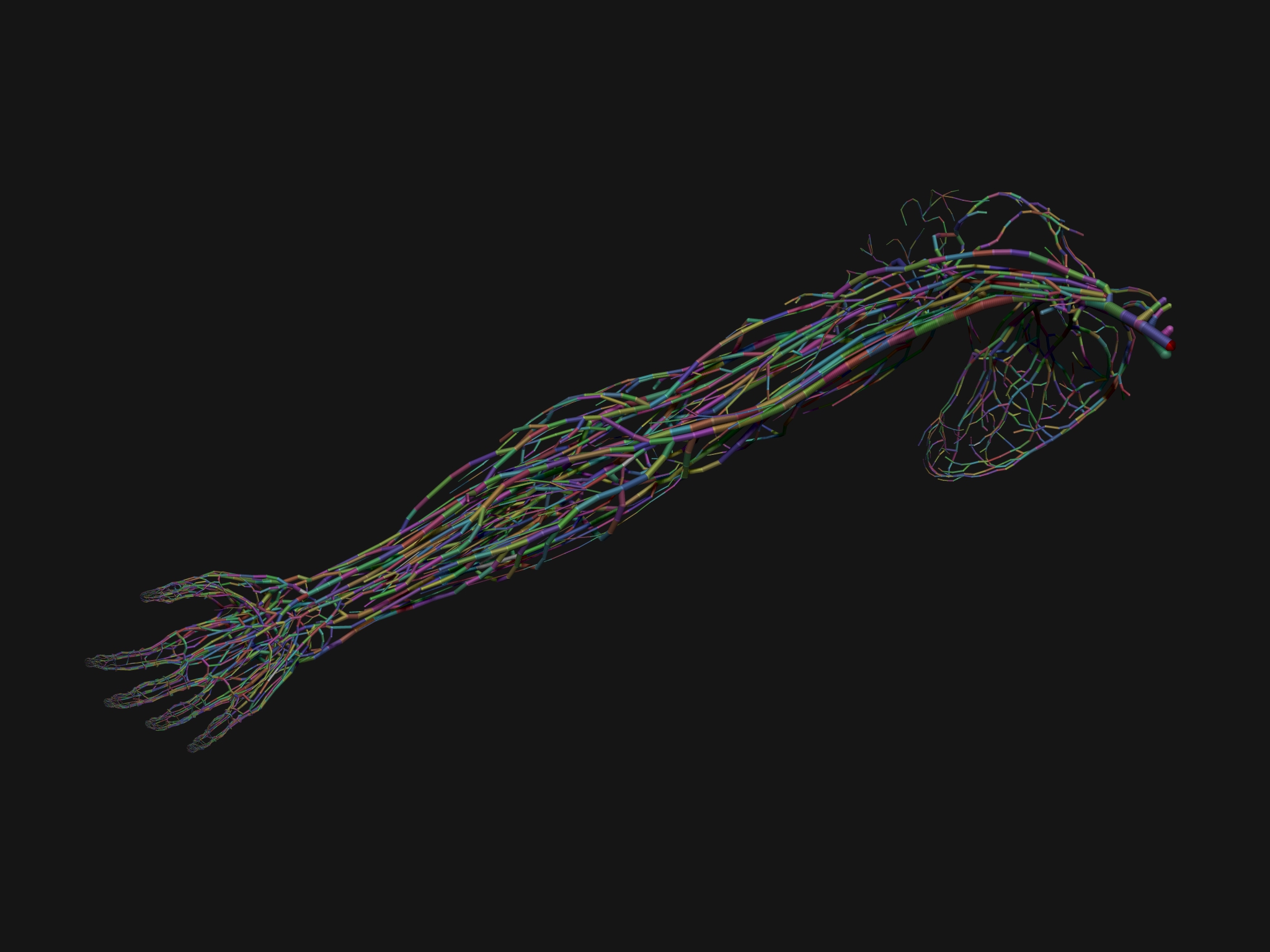 Zsphere_CirculatoryNervousSystem