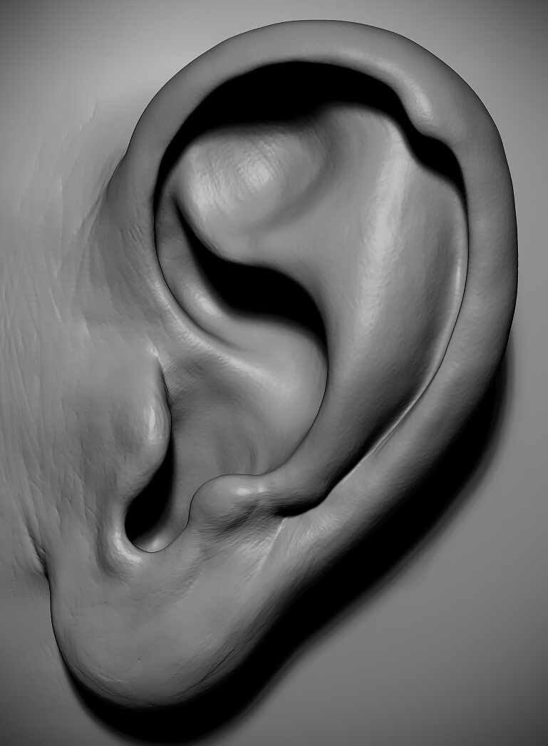 ZBrush_Ear