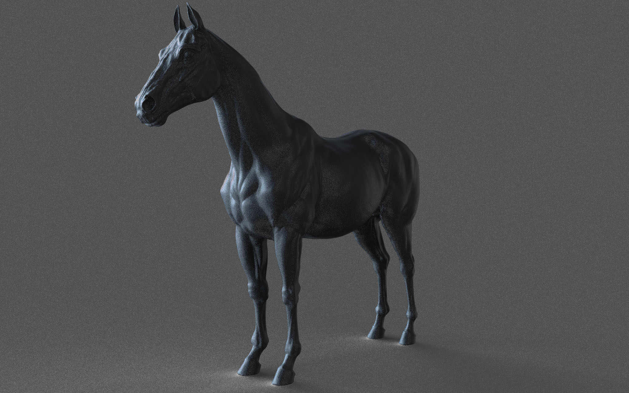 Horse_8