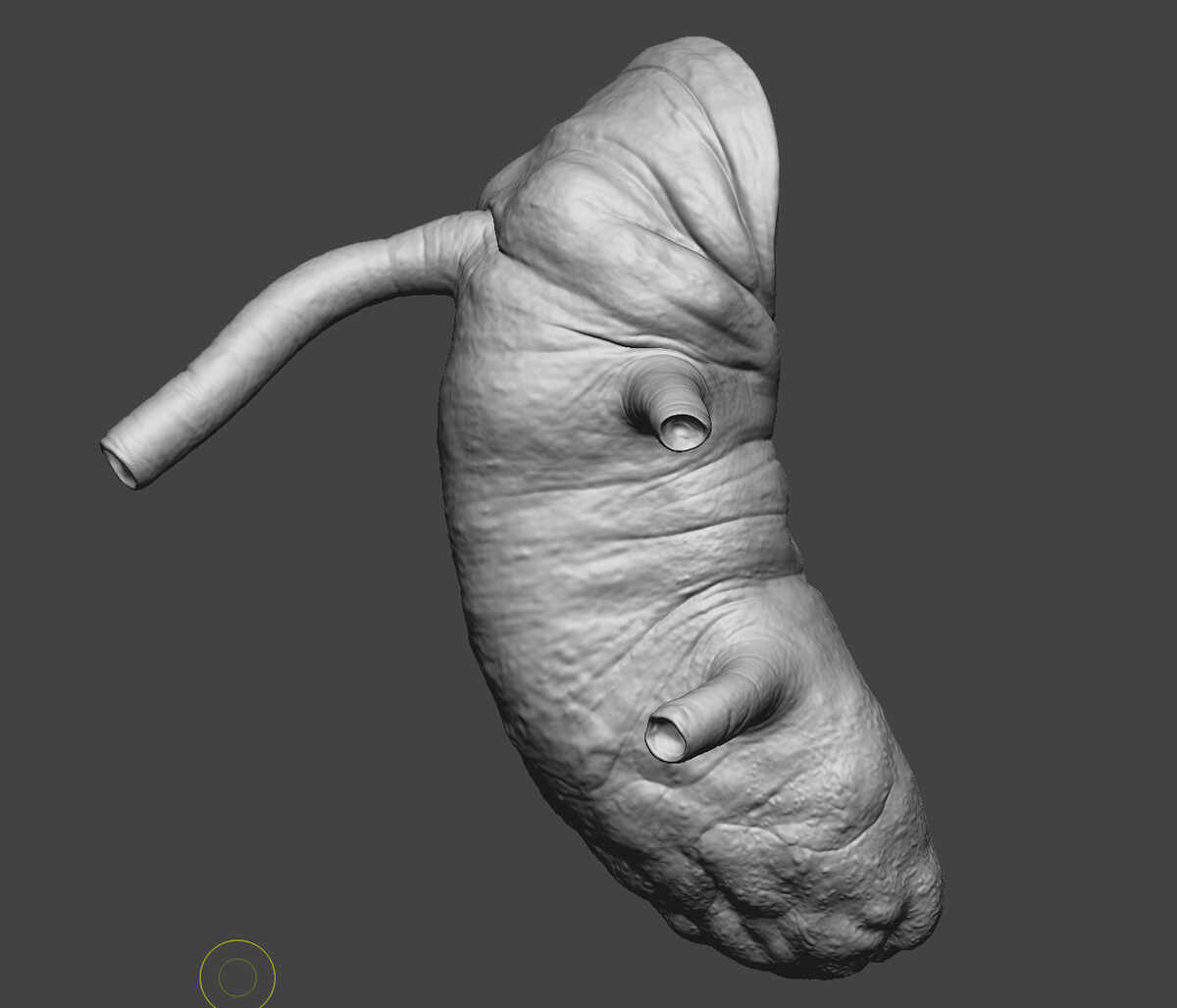 Halloween_Frog_WIP_07