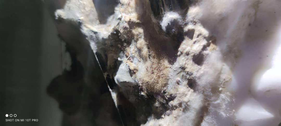 photo_2022-08-20_10-06-39