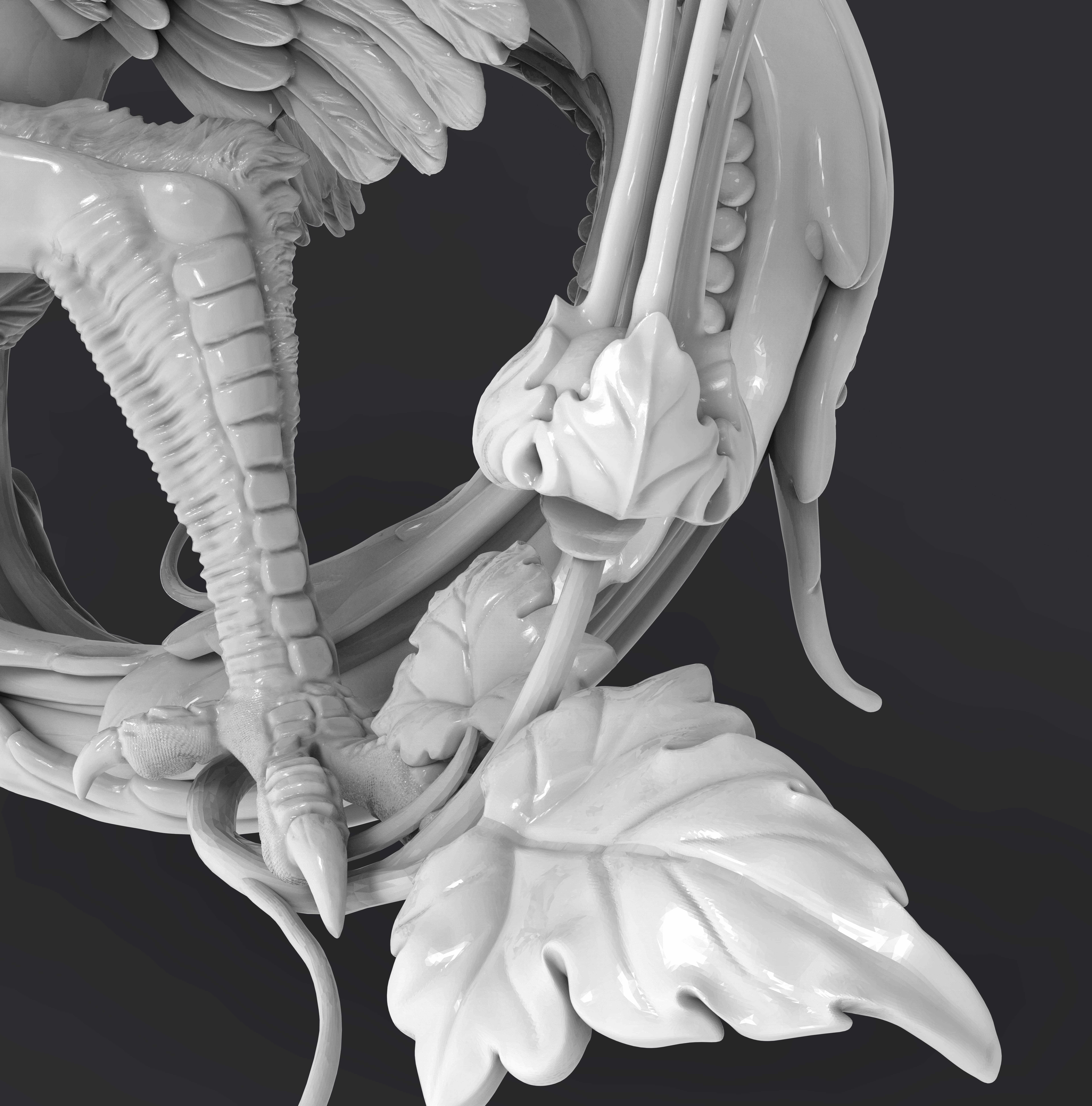 птица177.176-min_1