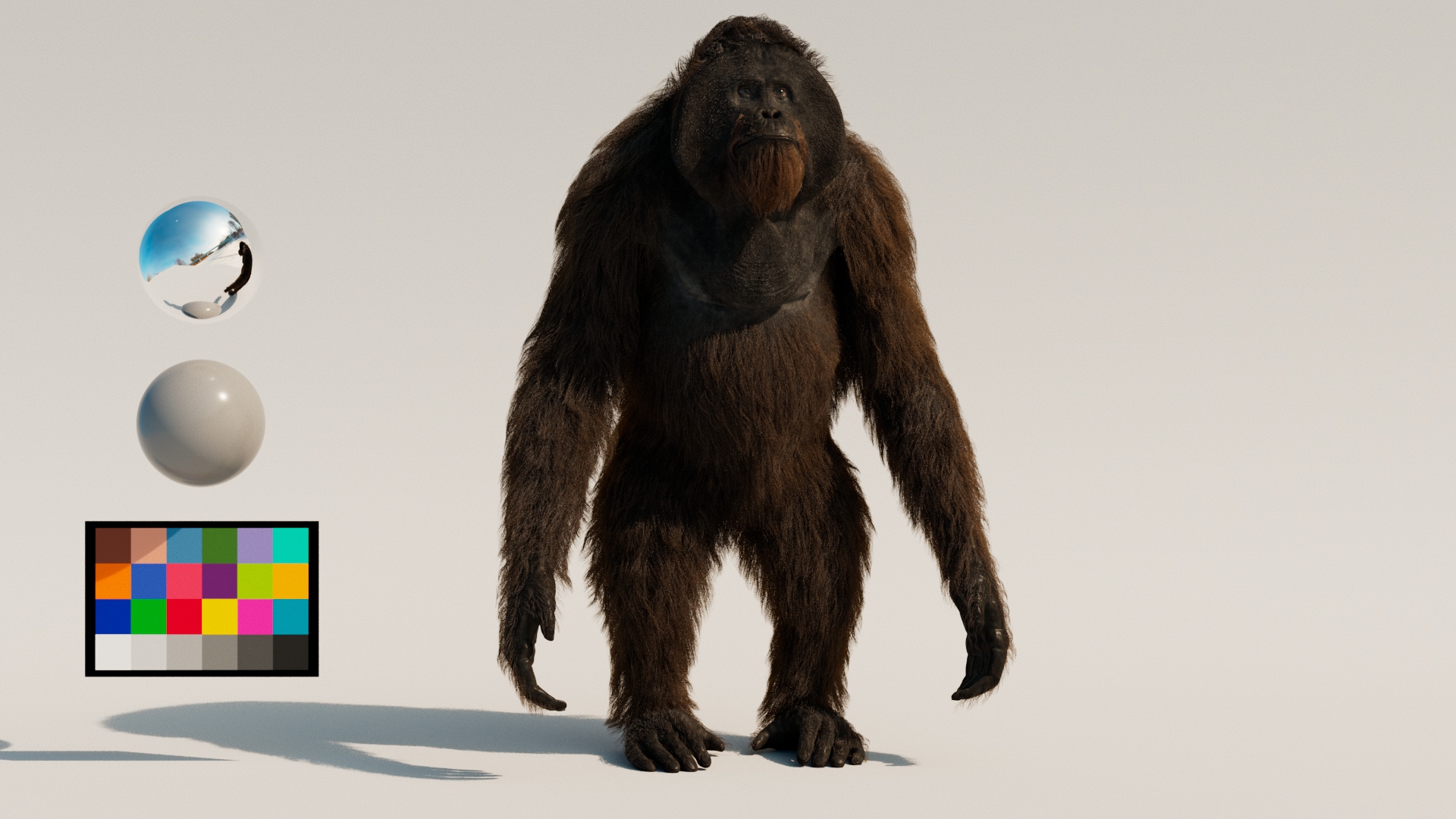 USANDIZAGA_Martin_AnimalFace