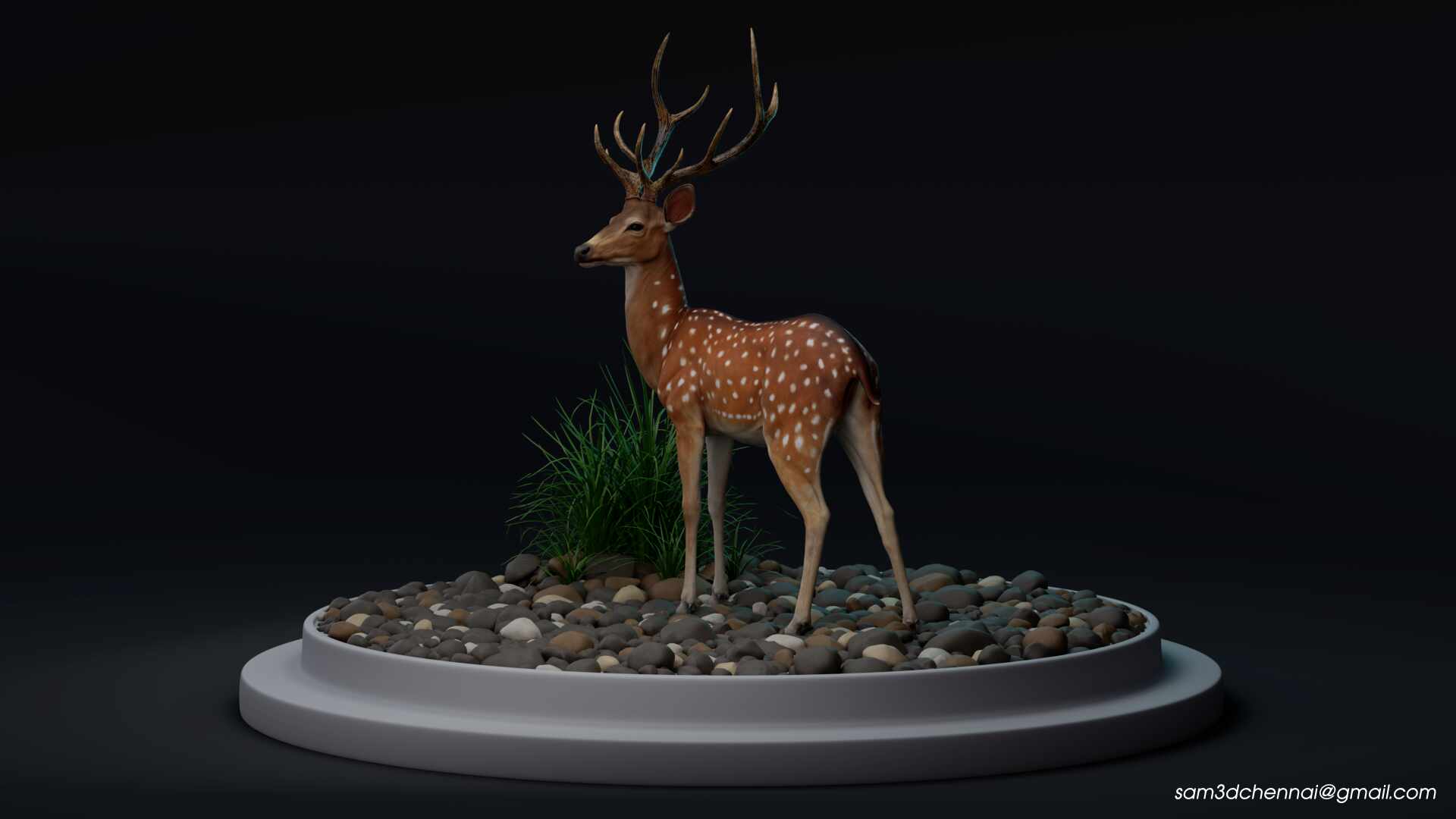 Deer_03