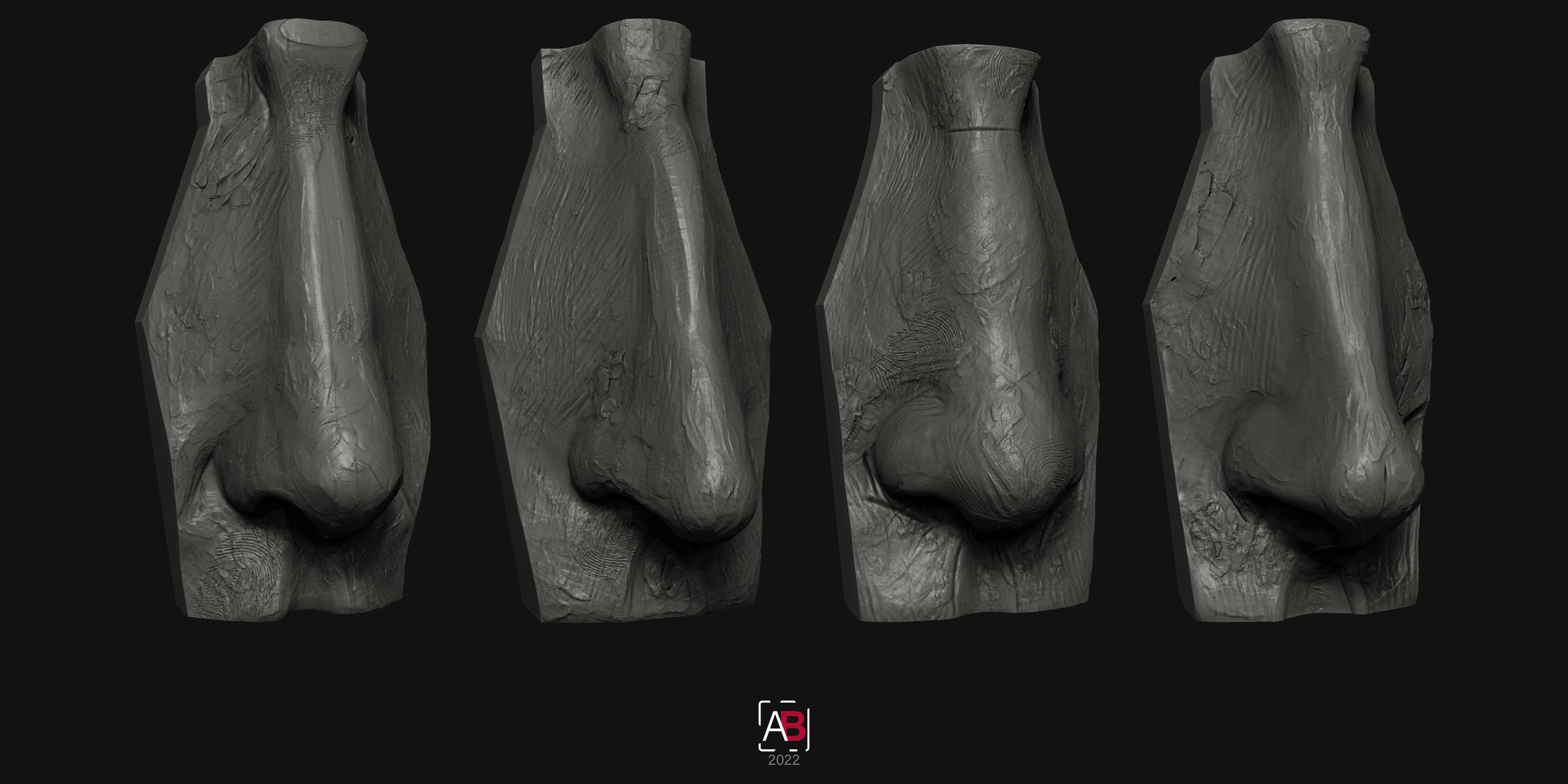 Nose-Study