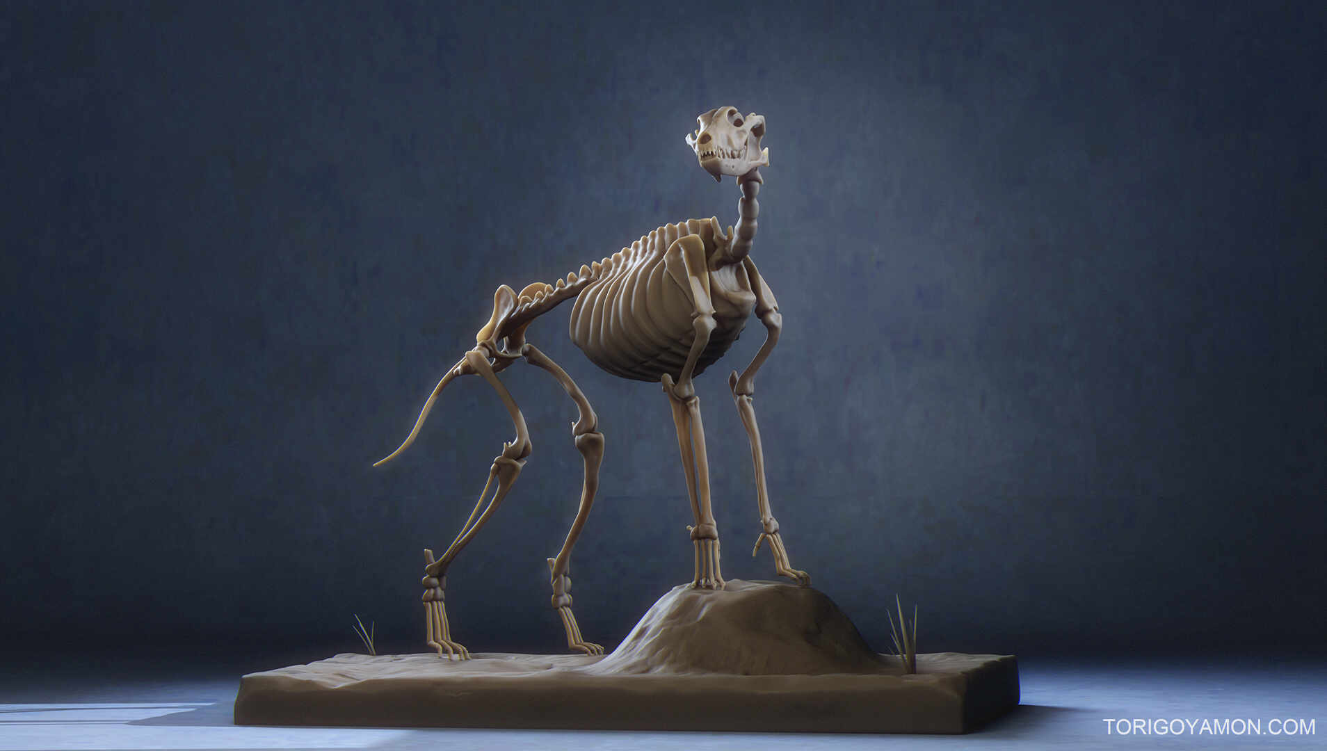 WolfSkeleton_Render_M