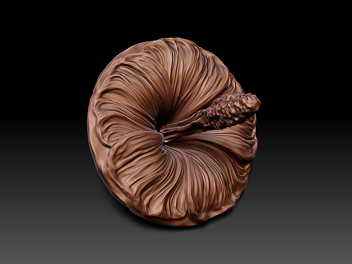 Mallow Sculpture - 3