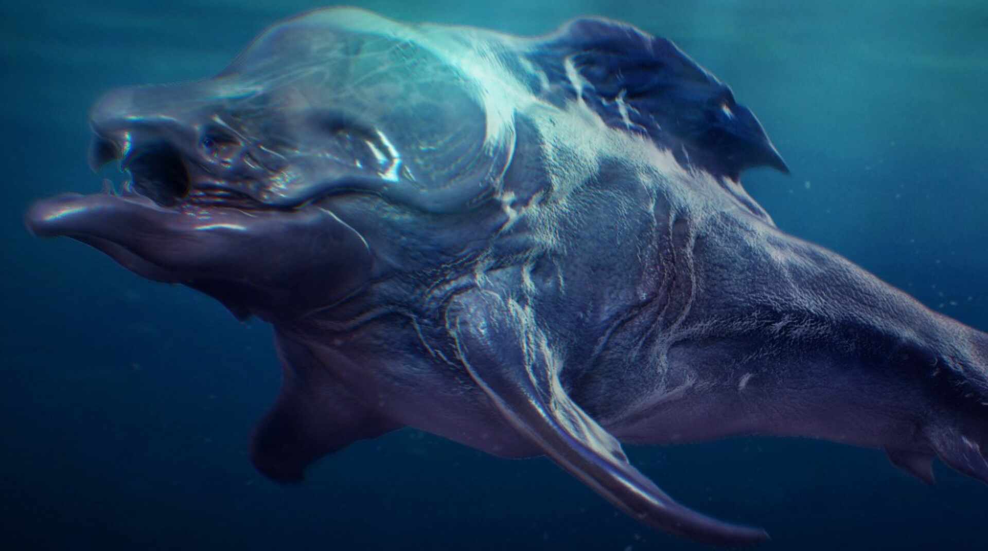 water_creature_dunc_final__look_illustration_design full body original close up