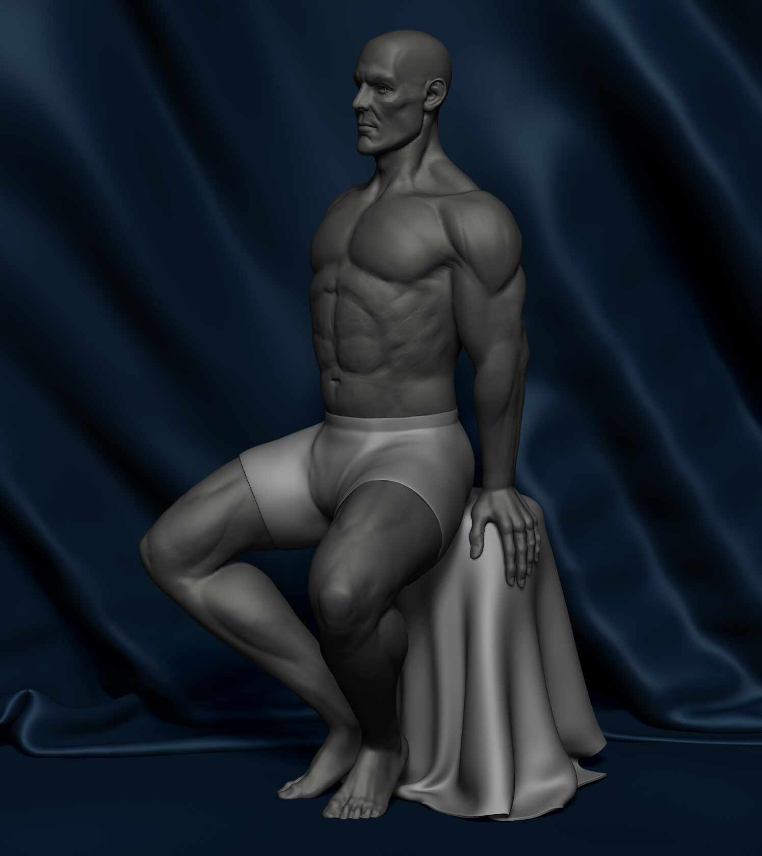 Anatomy_Study_Hamid_Reza_Afshar_02