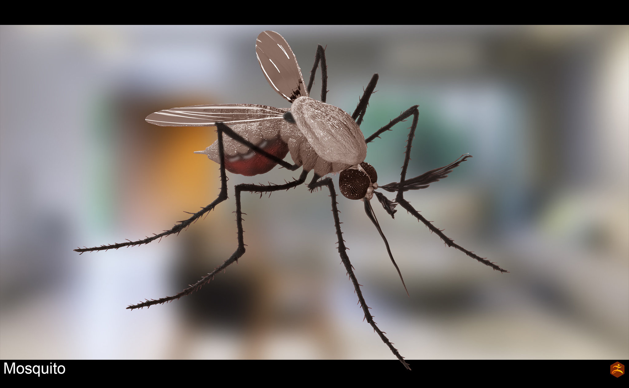 mosquito_007