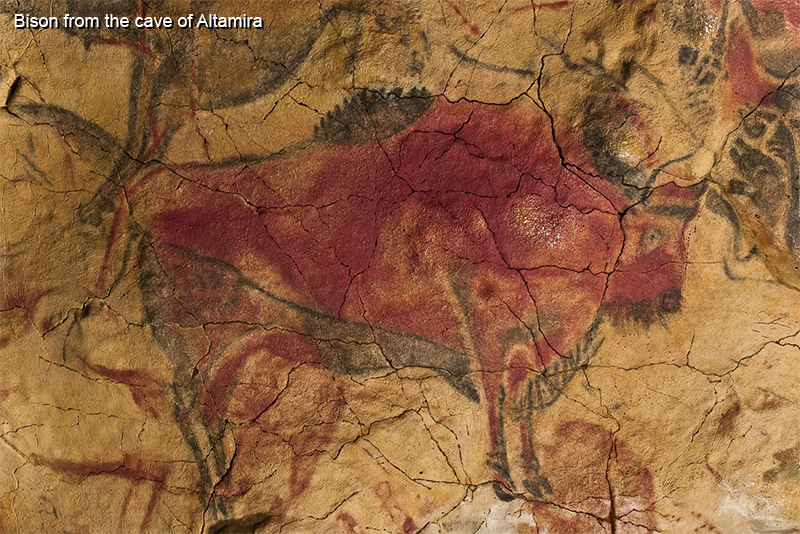 bison_altamira