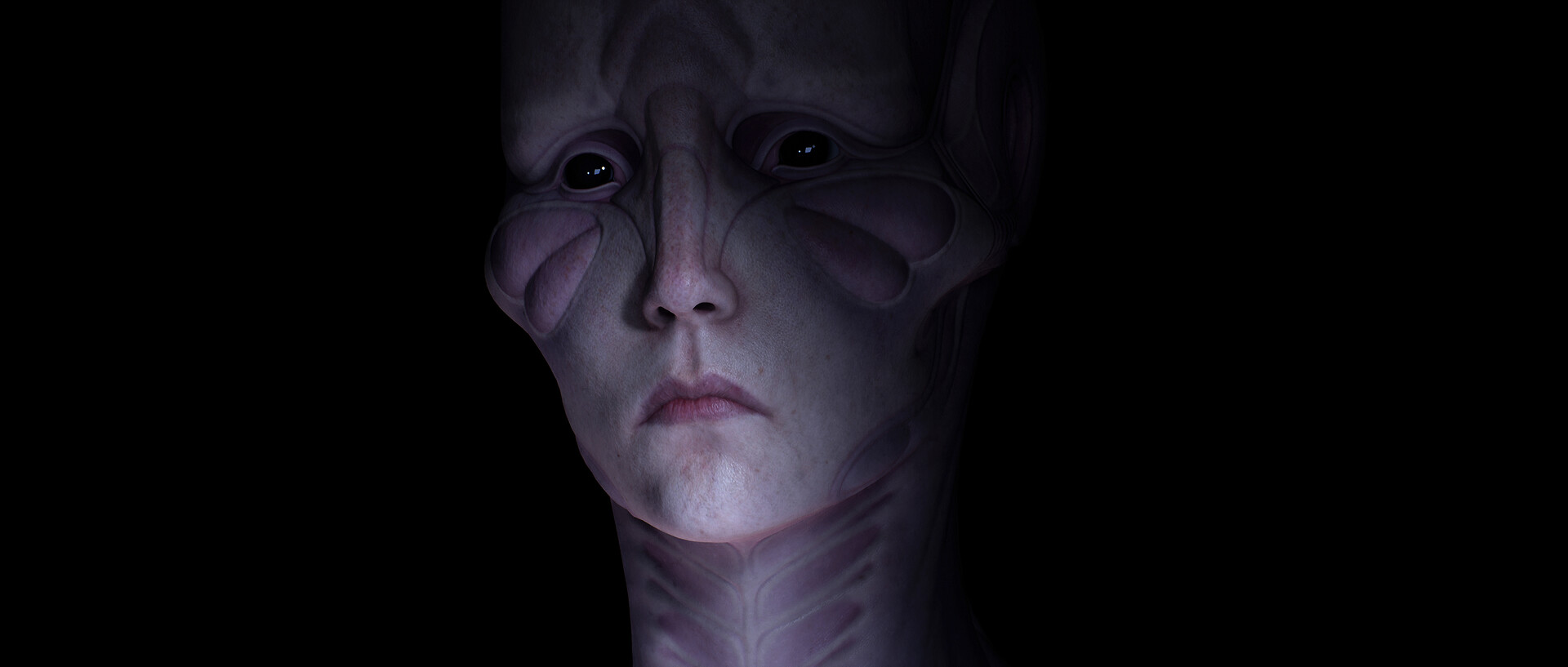 konrx-krolikowski-buttefly-cold-1-c2