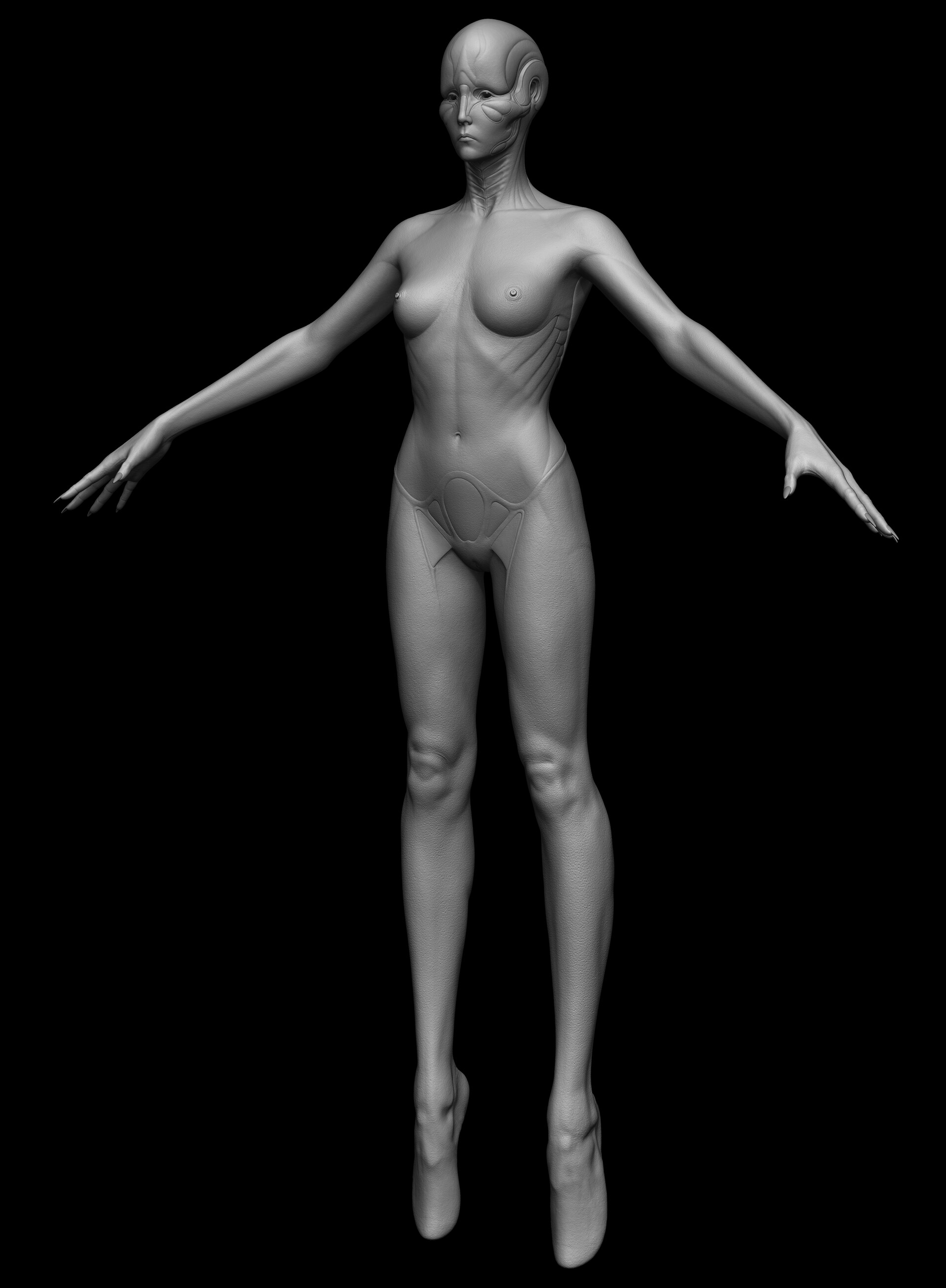 konrx-krolikowski-buttefly-all-zbrush-f-3