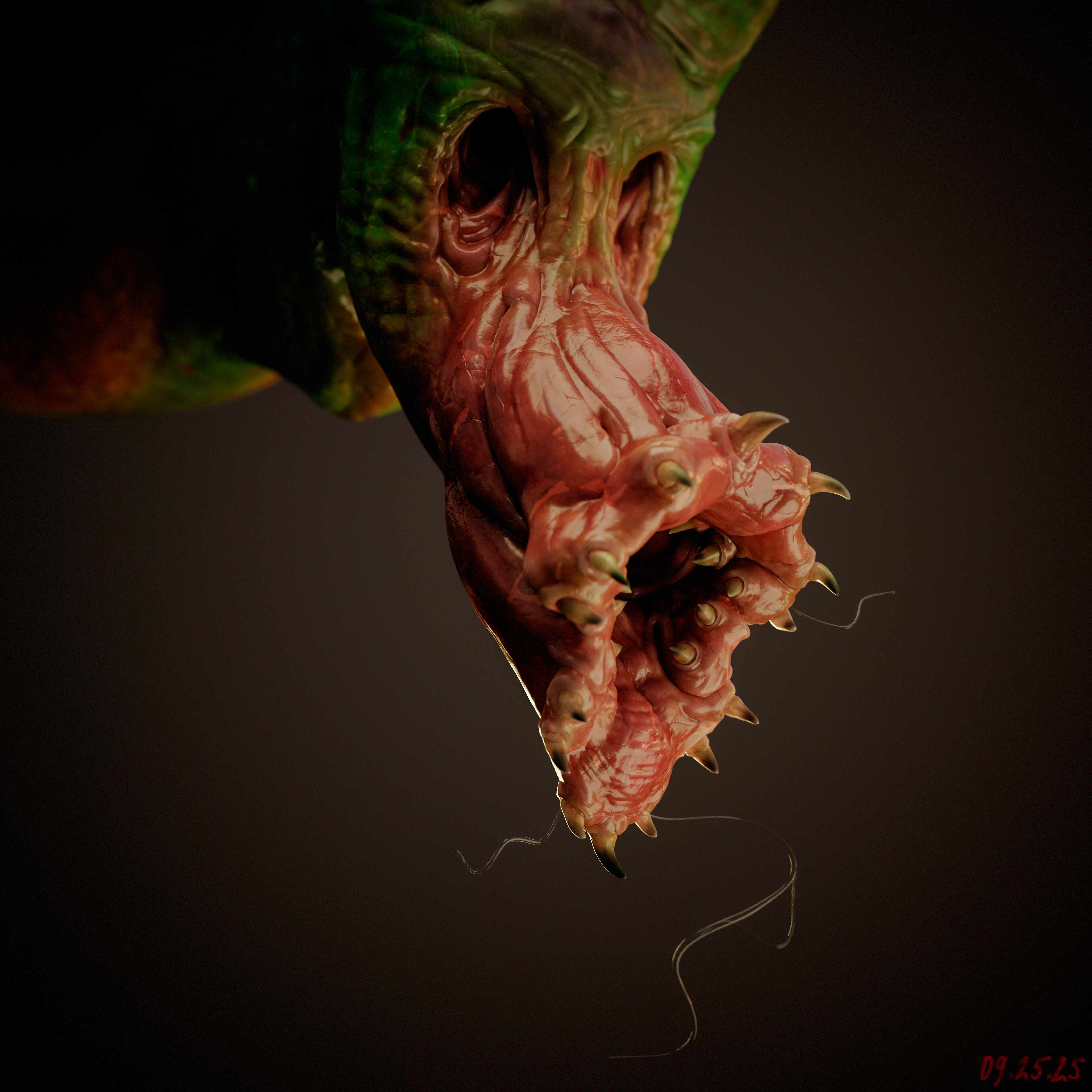 Untitled_main_front 4