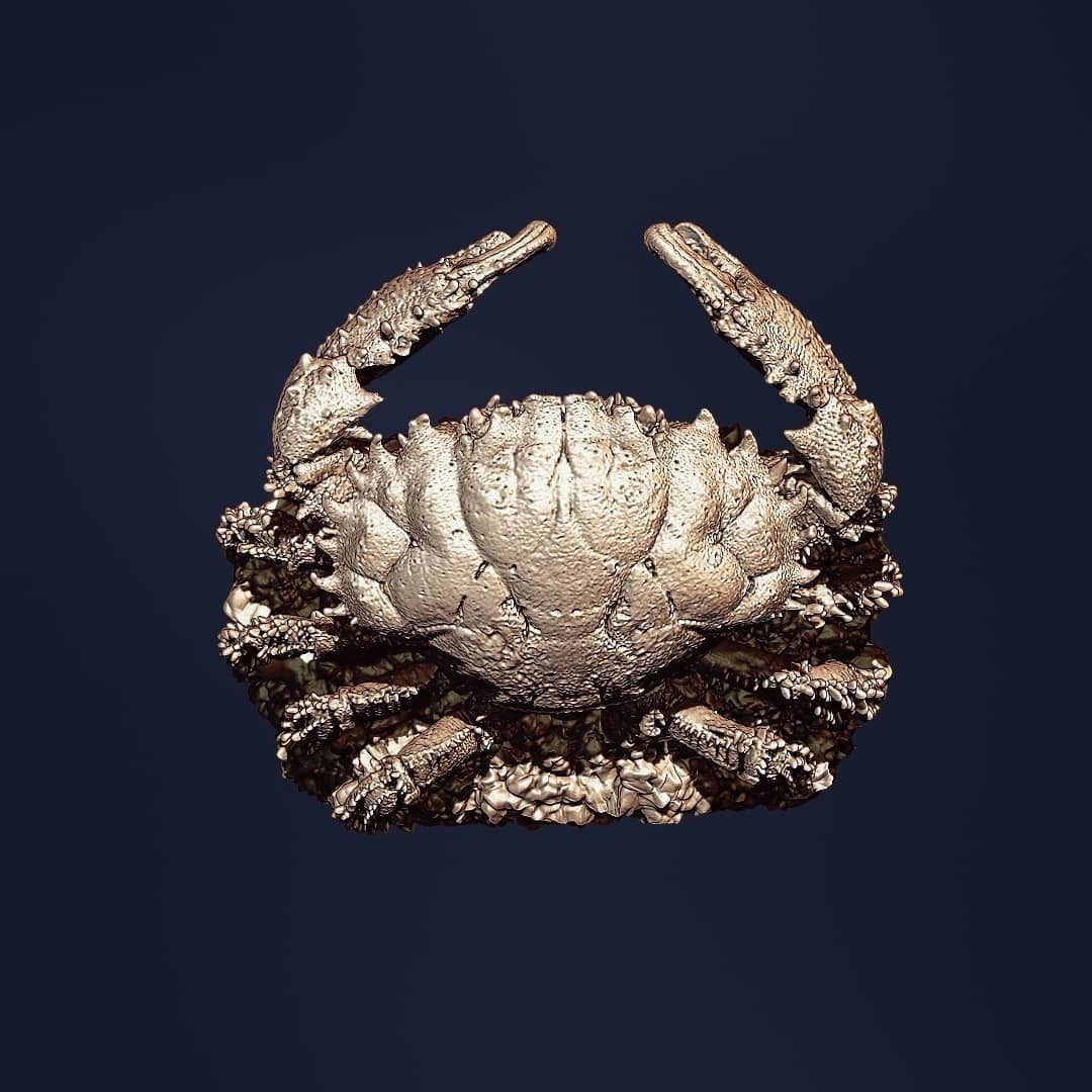 sa.digitalsketchbook_206102563_328941685610980_1769963920781777240_n