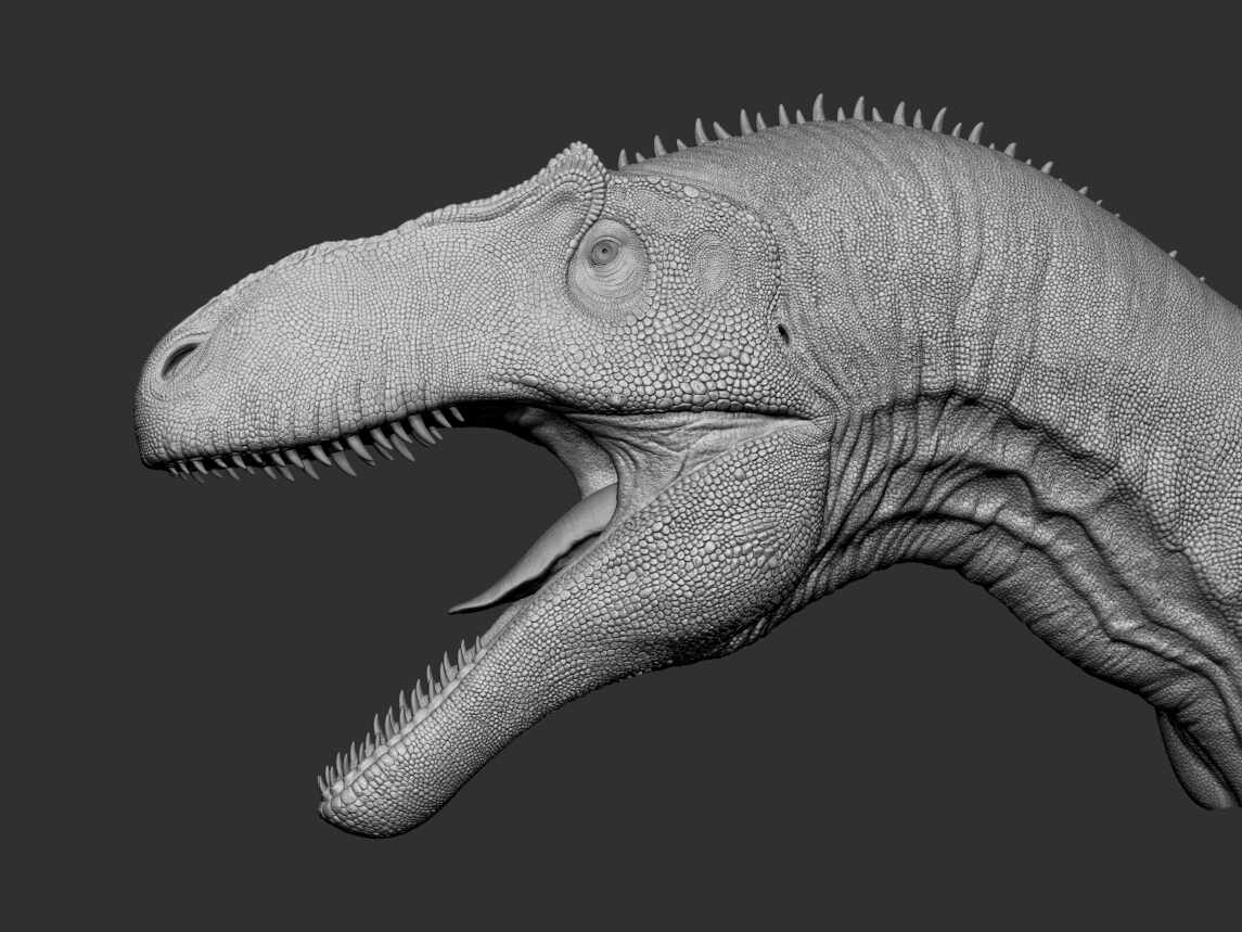 ZBrush Document4