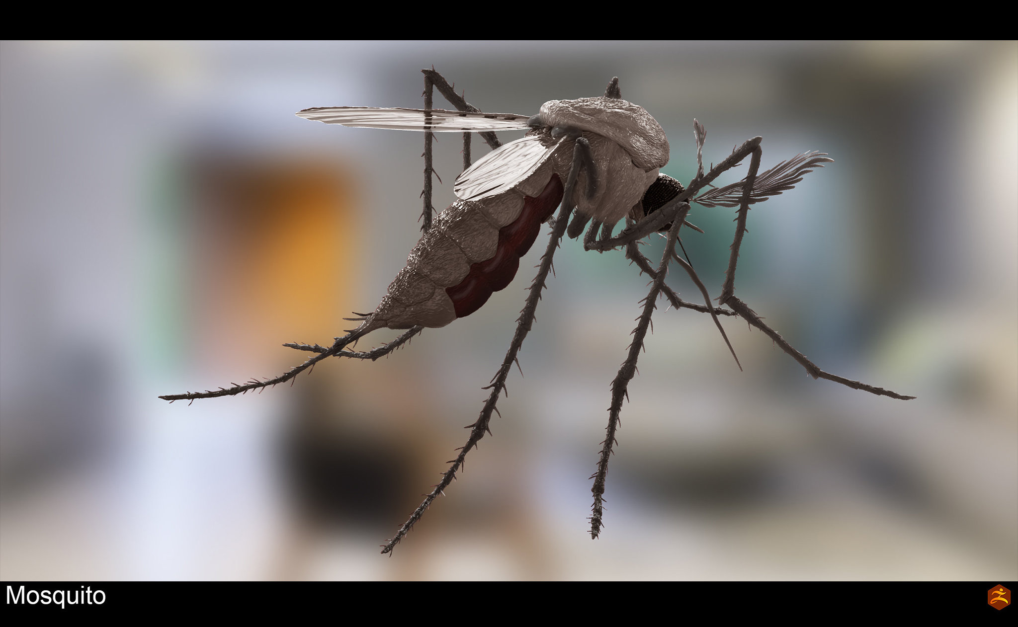 mosquito_005