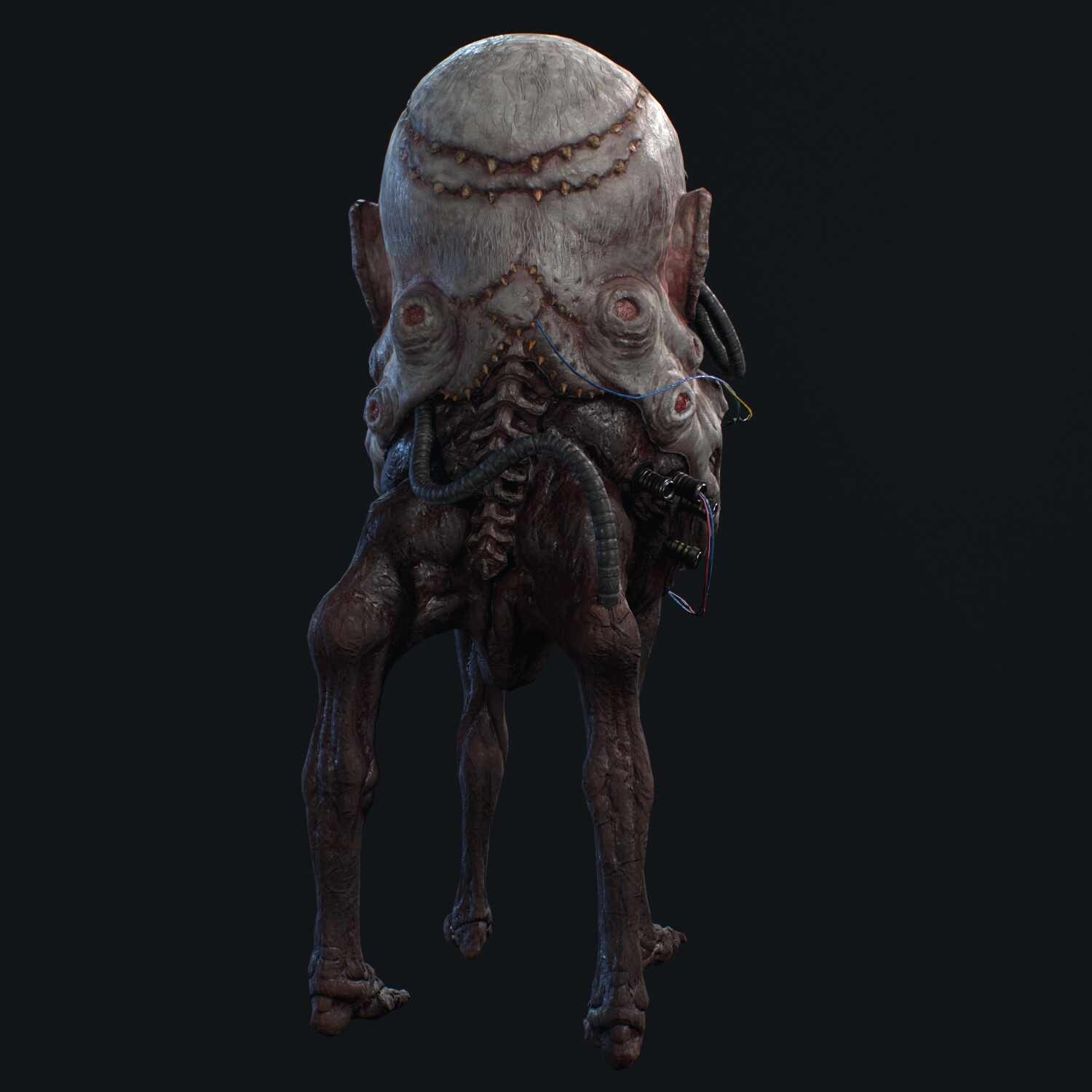Gyo_Head_Render003_Viewport