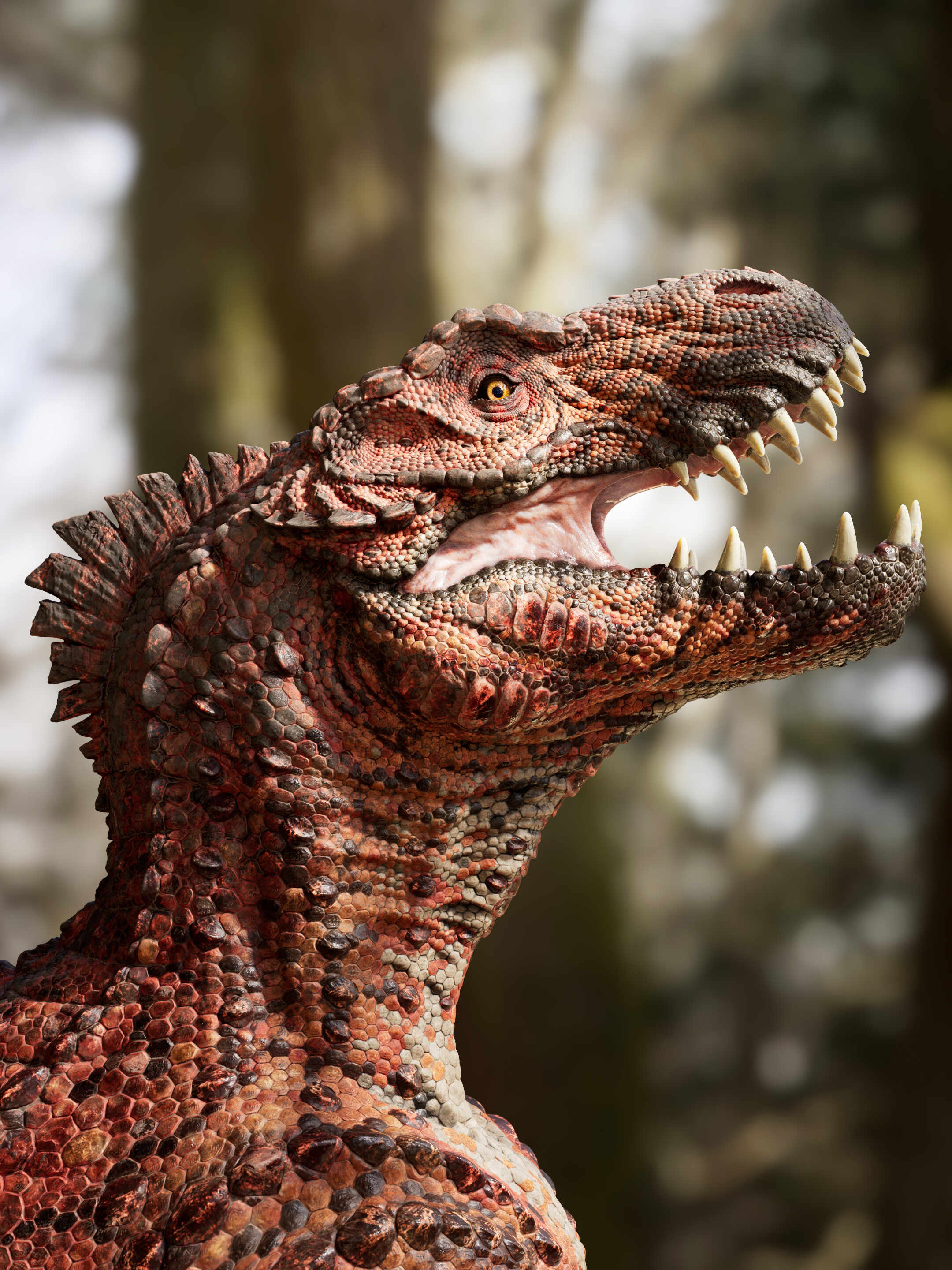 differentAngles_1001_v07