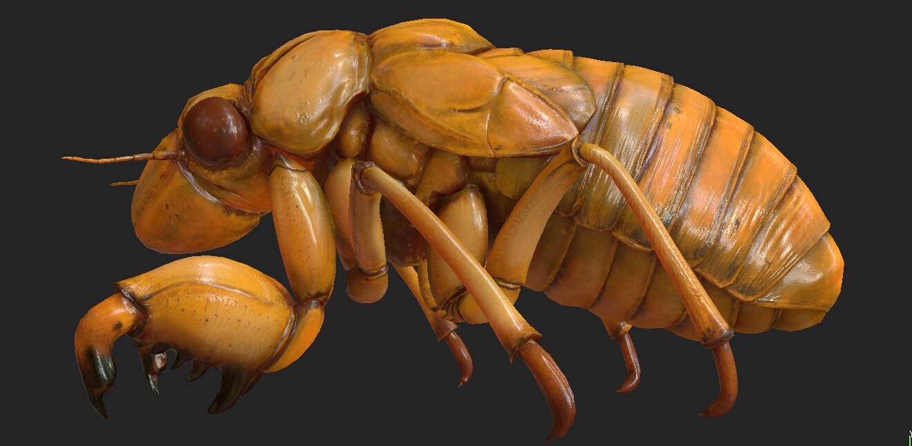 eric-keller-cicada-nymph-textured-01