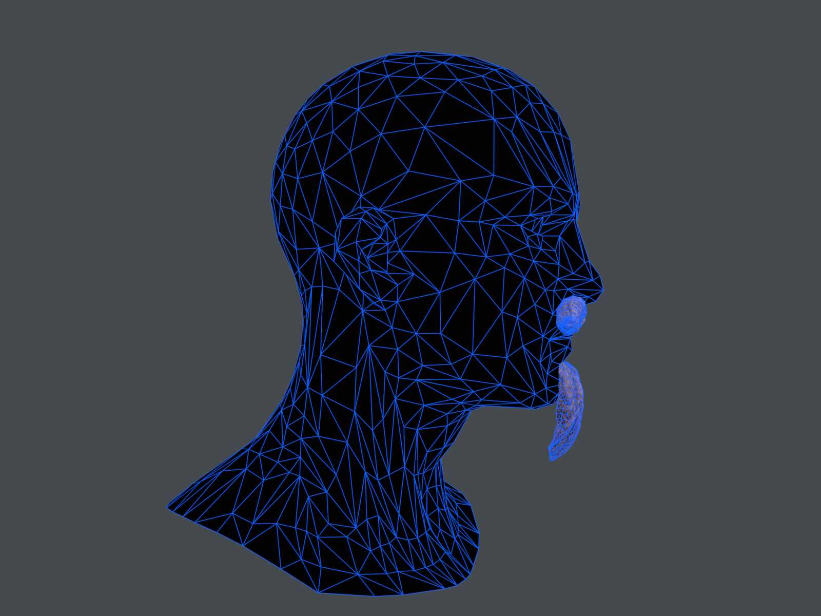 tbrender_Viewport_007