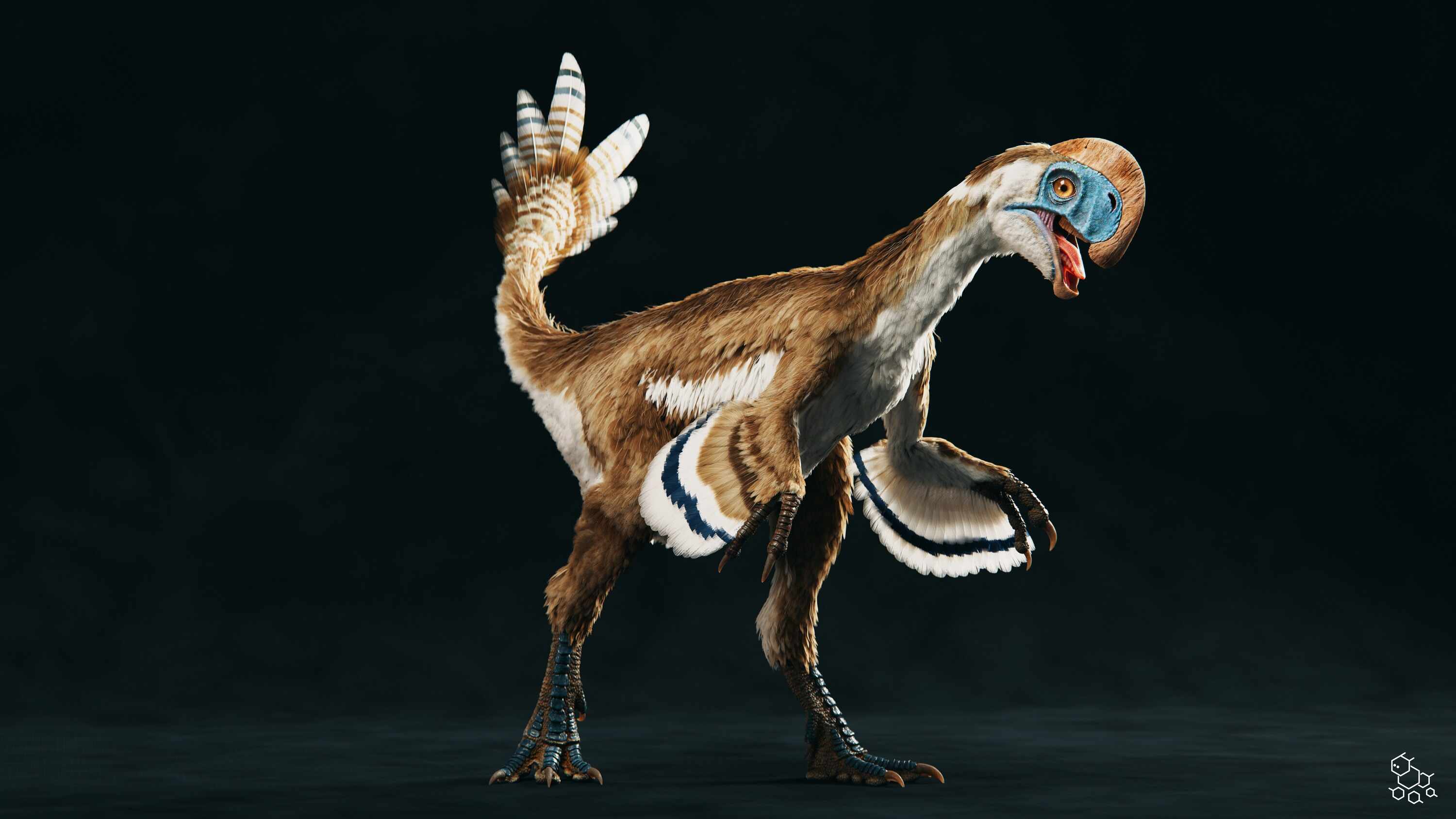 Oksoko_avarsan_POSE1_comb_low