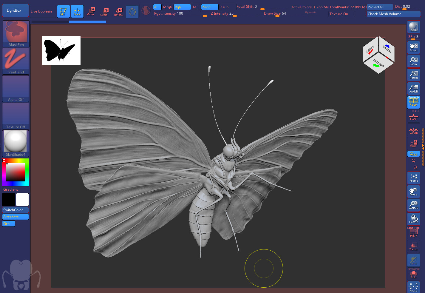 eric-keller-keller-butterfly-zb-sg-03