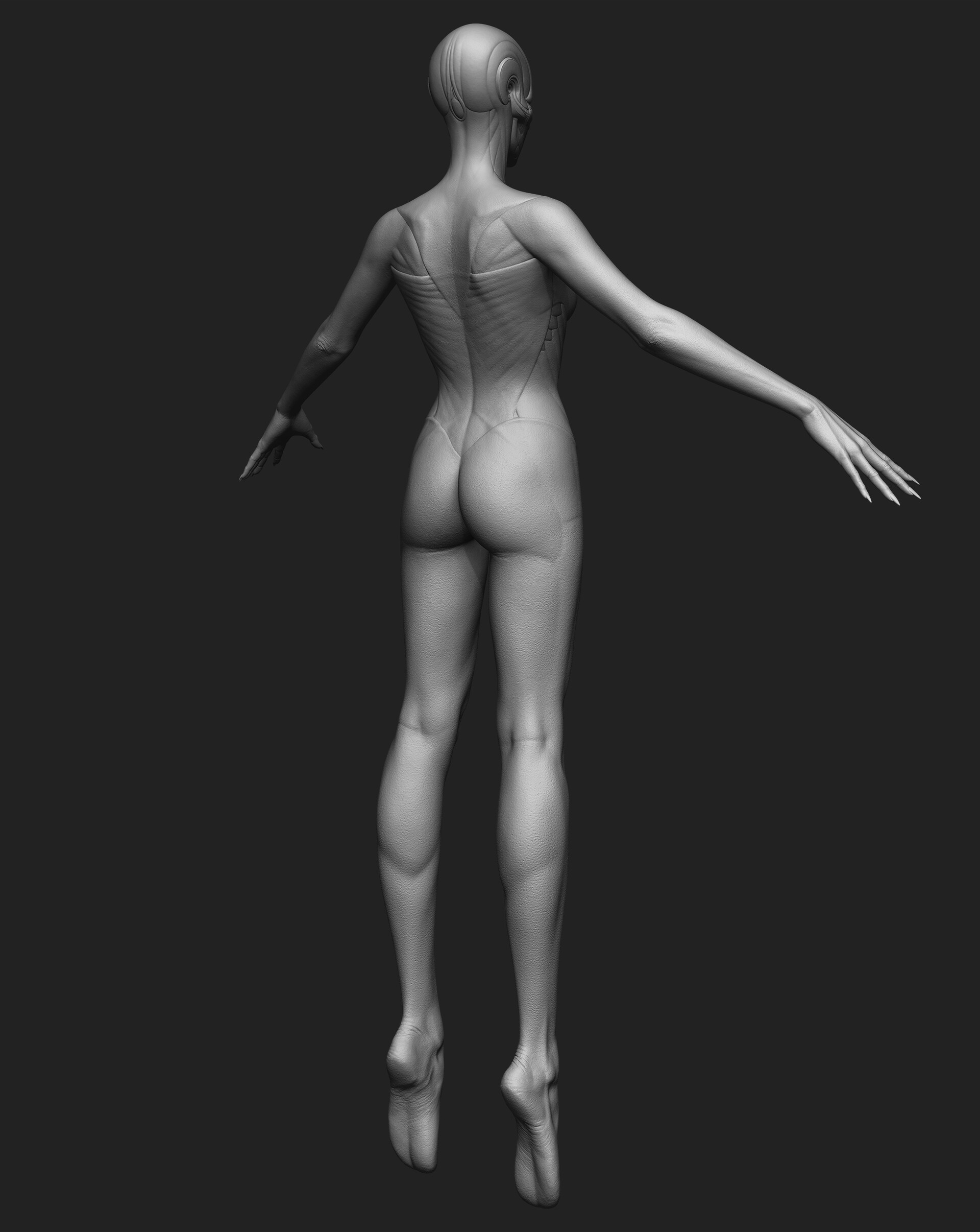 konrx-krolikowski-buttefly-all-zbrush-back-3