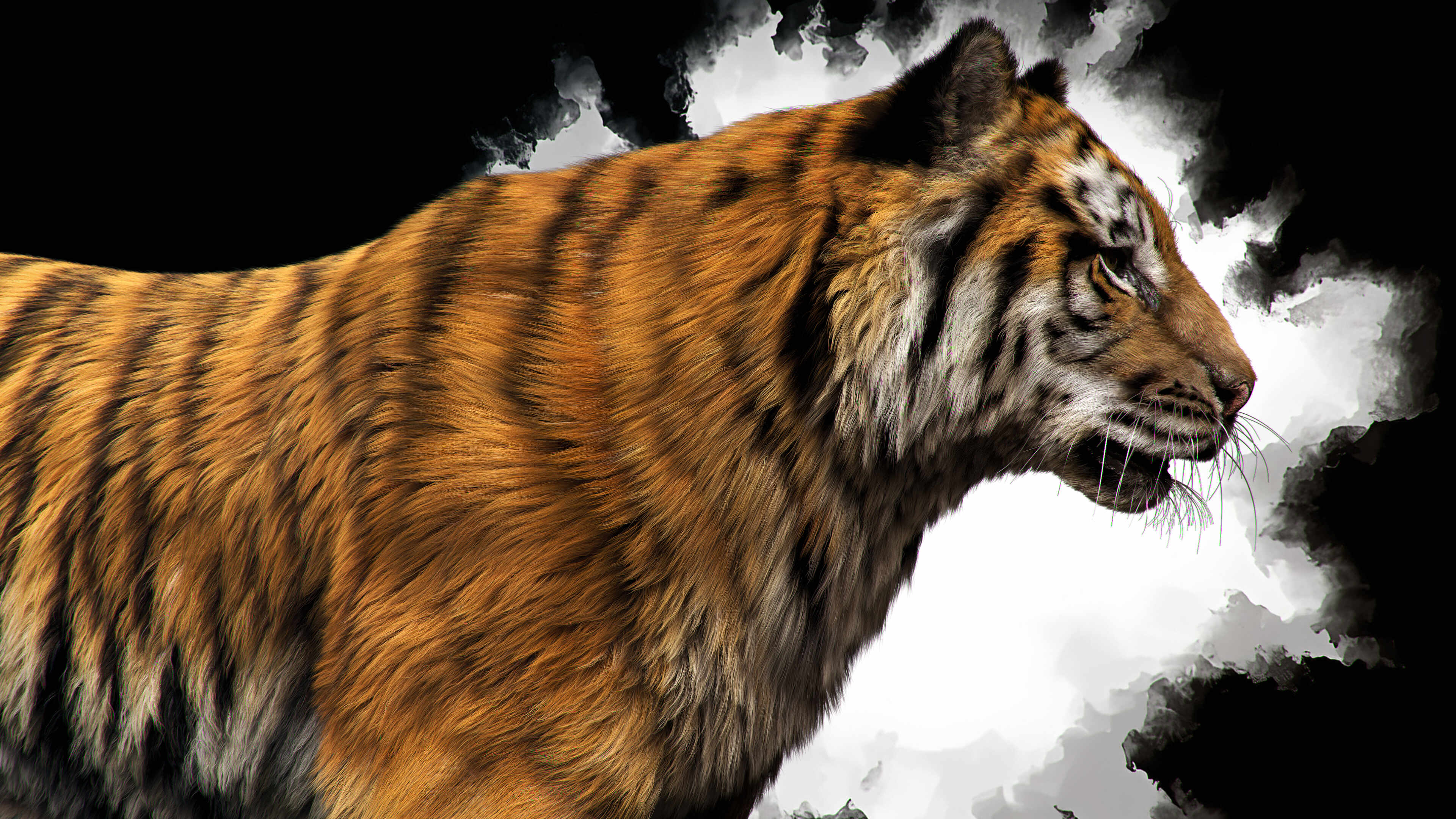 tiger05_PS