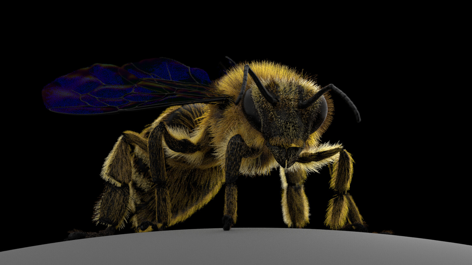 eric-keller-arnold-05-furpost