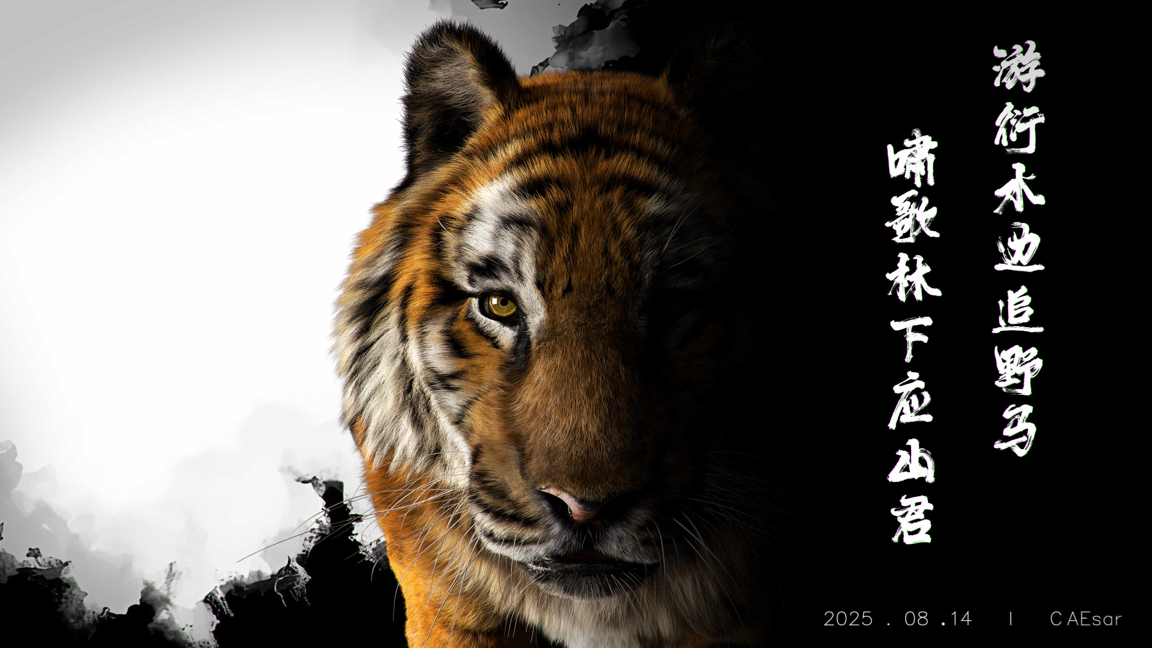 tiger09_PS