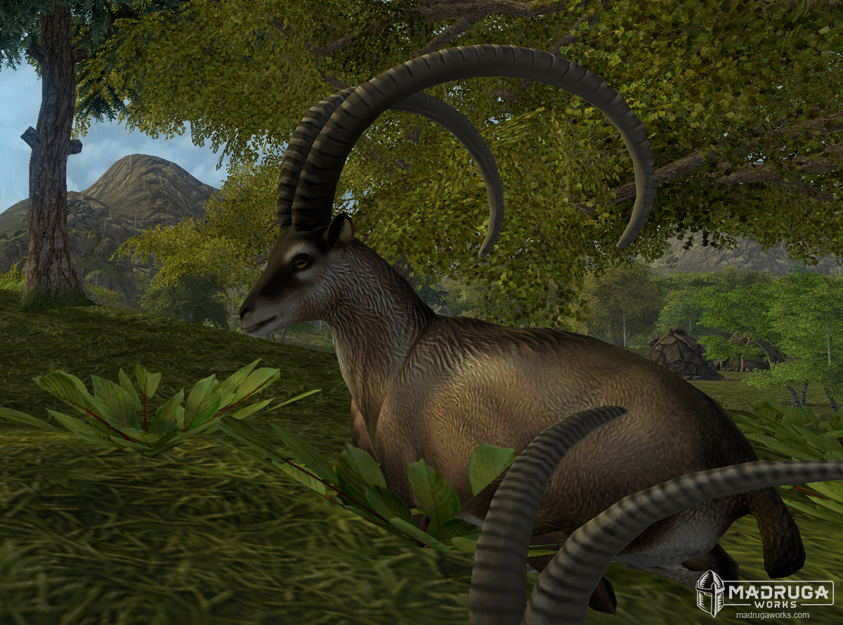 screen_ibex_01