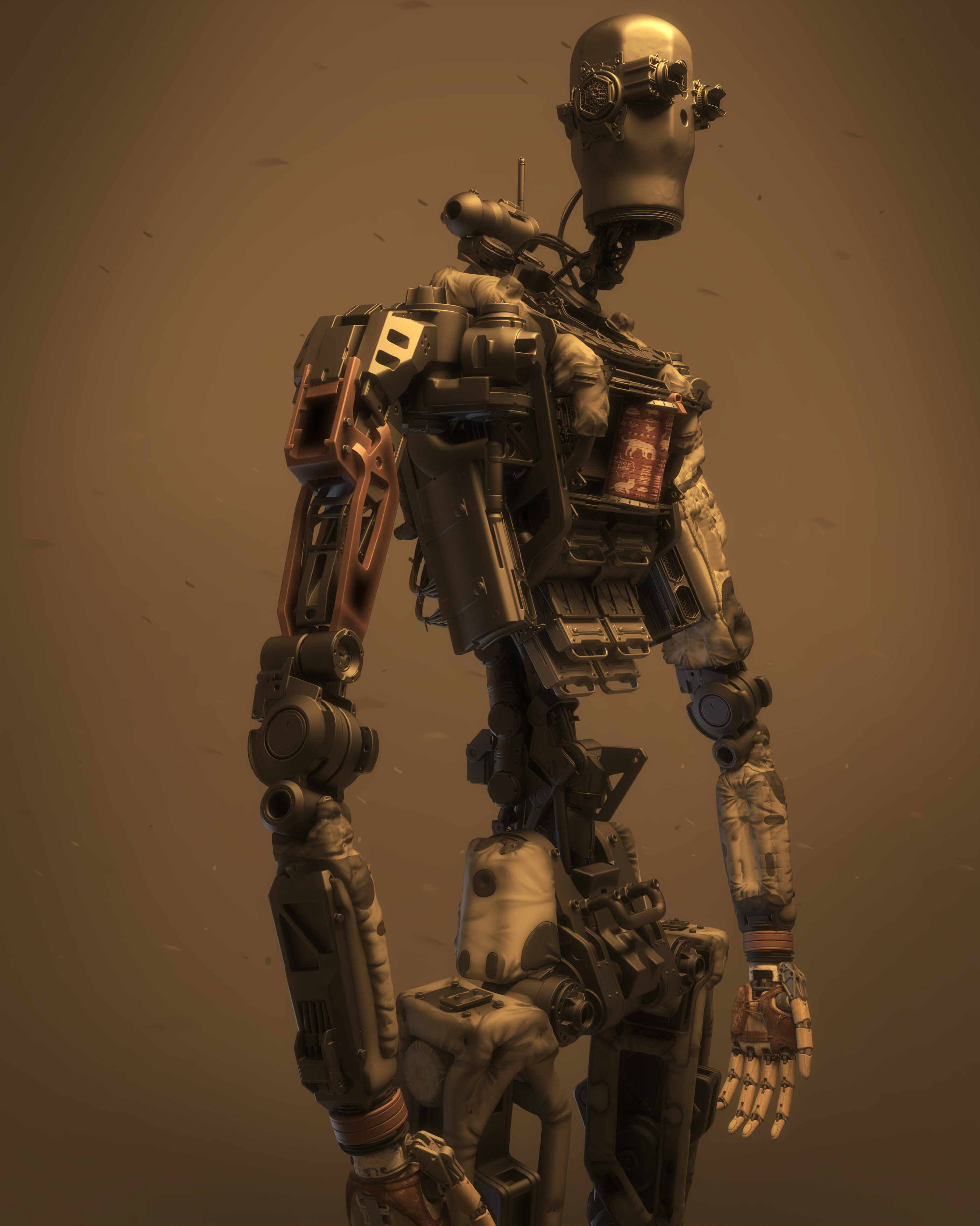 Chest02_LowAngle copy