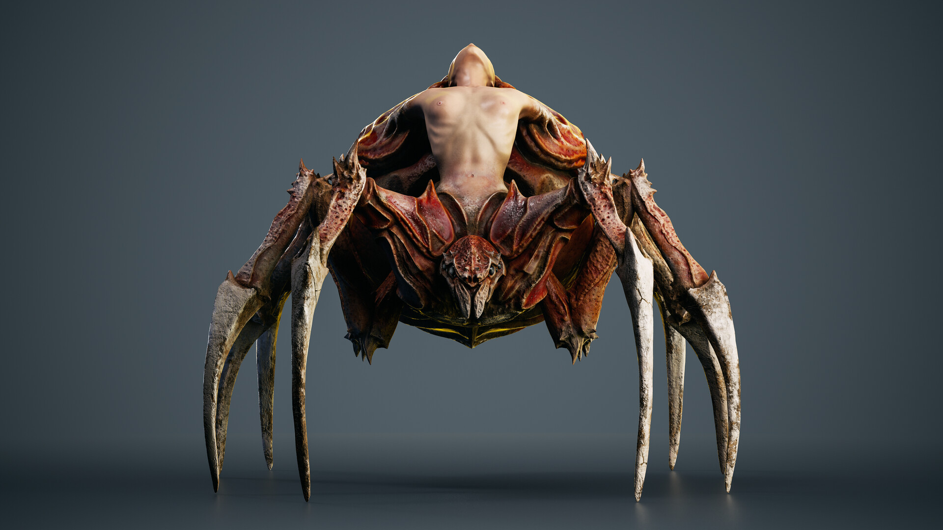 anna-siebenhandl-front