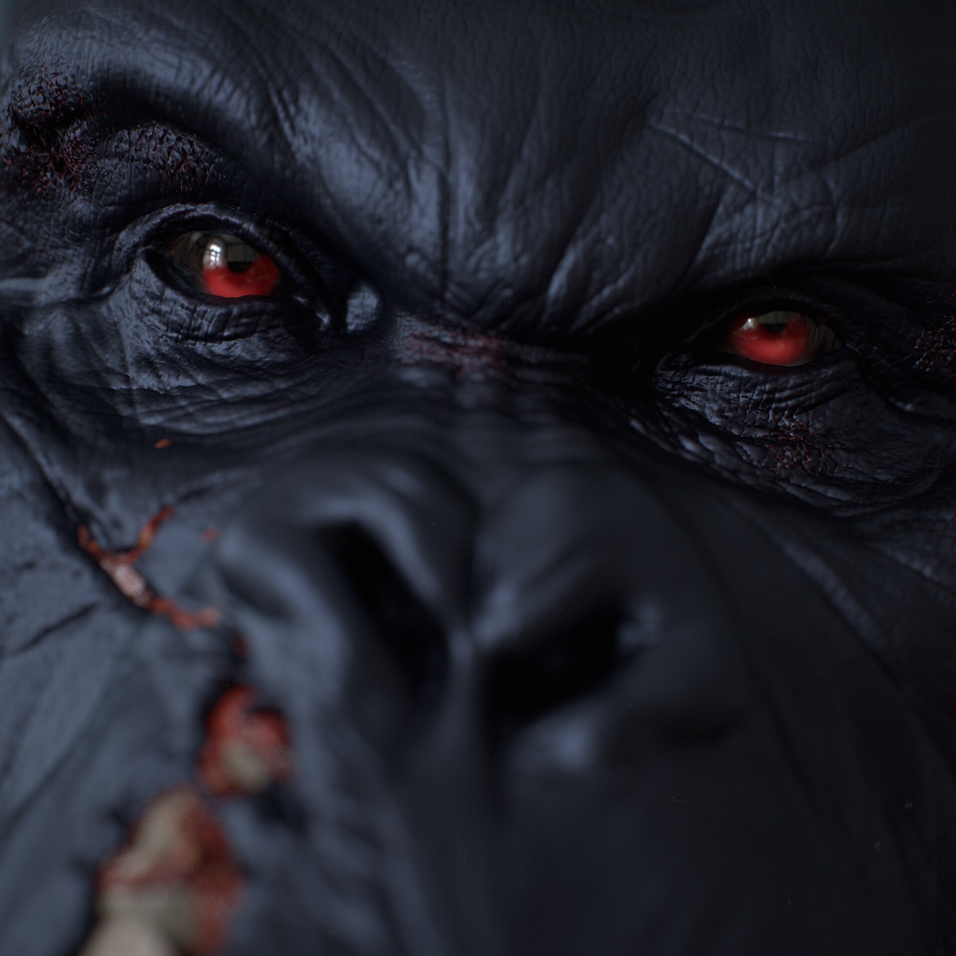 gustavo-mejia-gusz-6