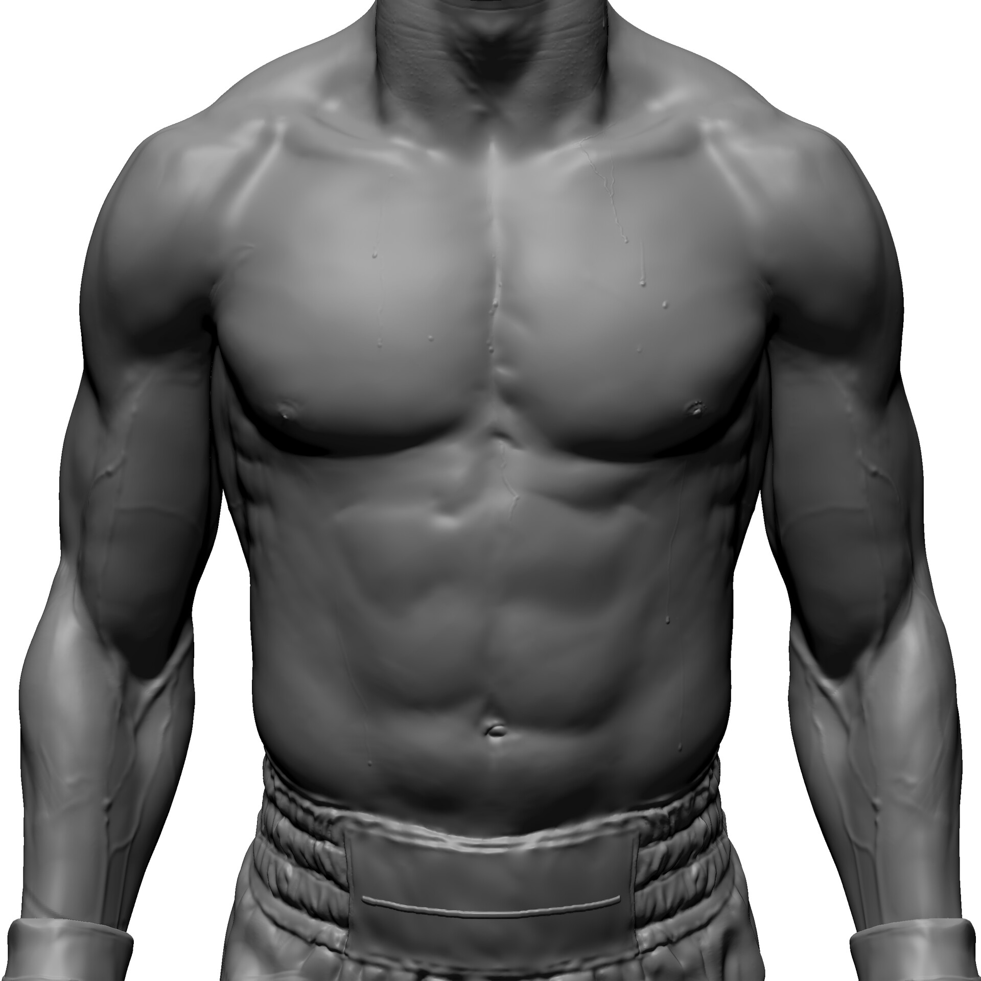 ran-manolov-aj-torso-front