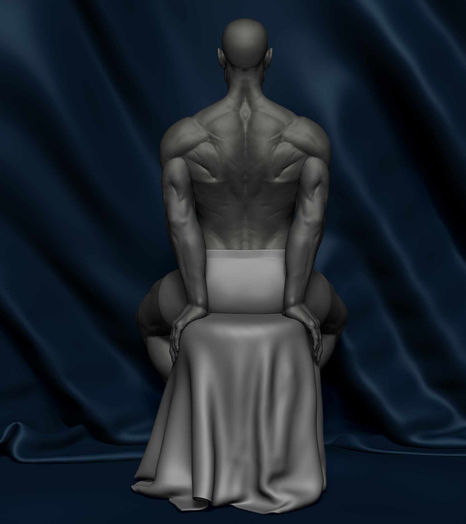 Anatomy_Study_Hamid_Reza_Afshar_05