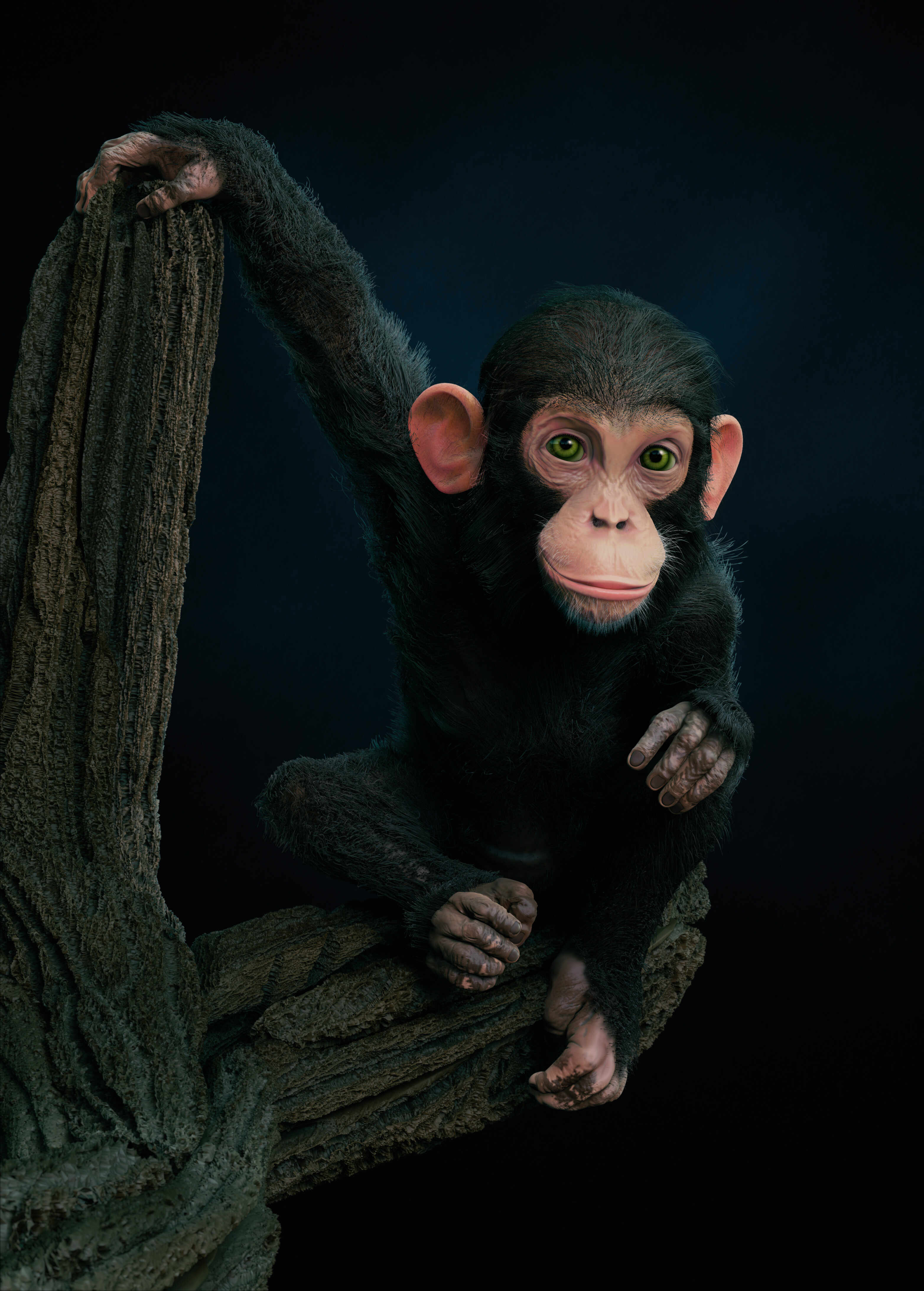 Chimp_001_2022 (4)